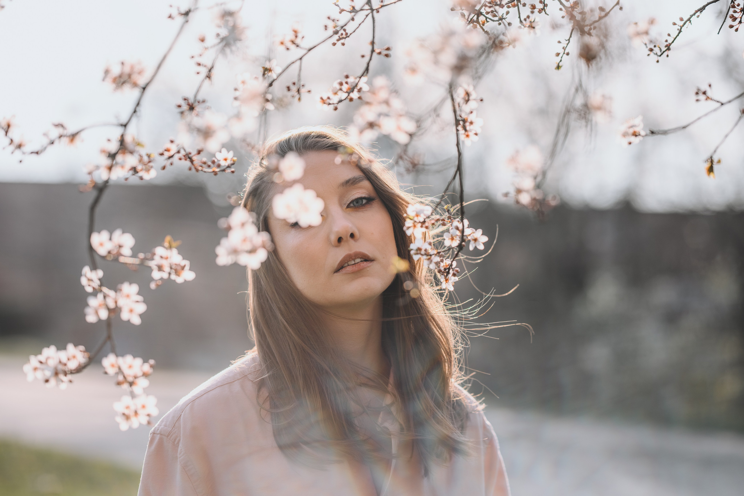 ЦВЕТЕНИЕ ВИШНИ В БЕЛГРАДЕ. Фотограф в Белграде Чугреева Елена