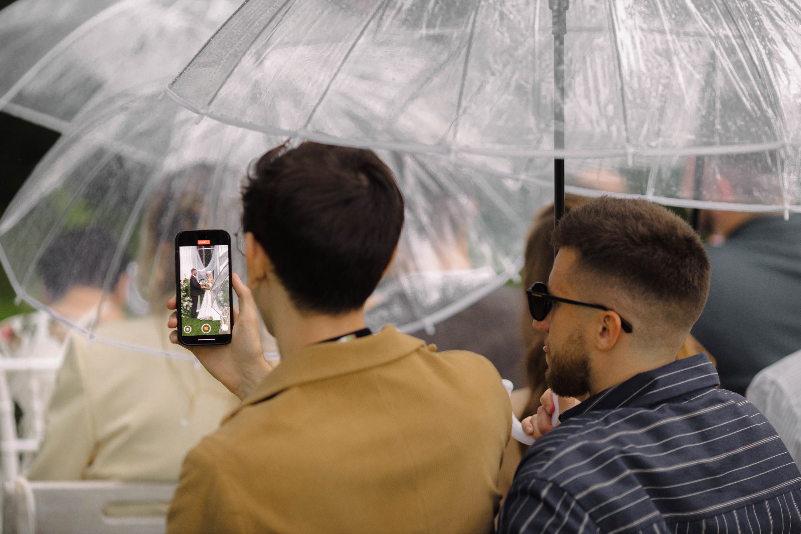 Зеленый сад