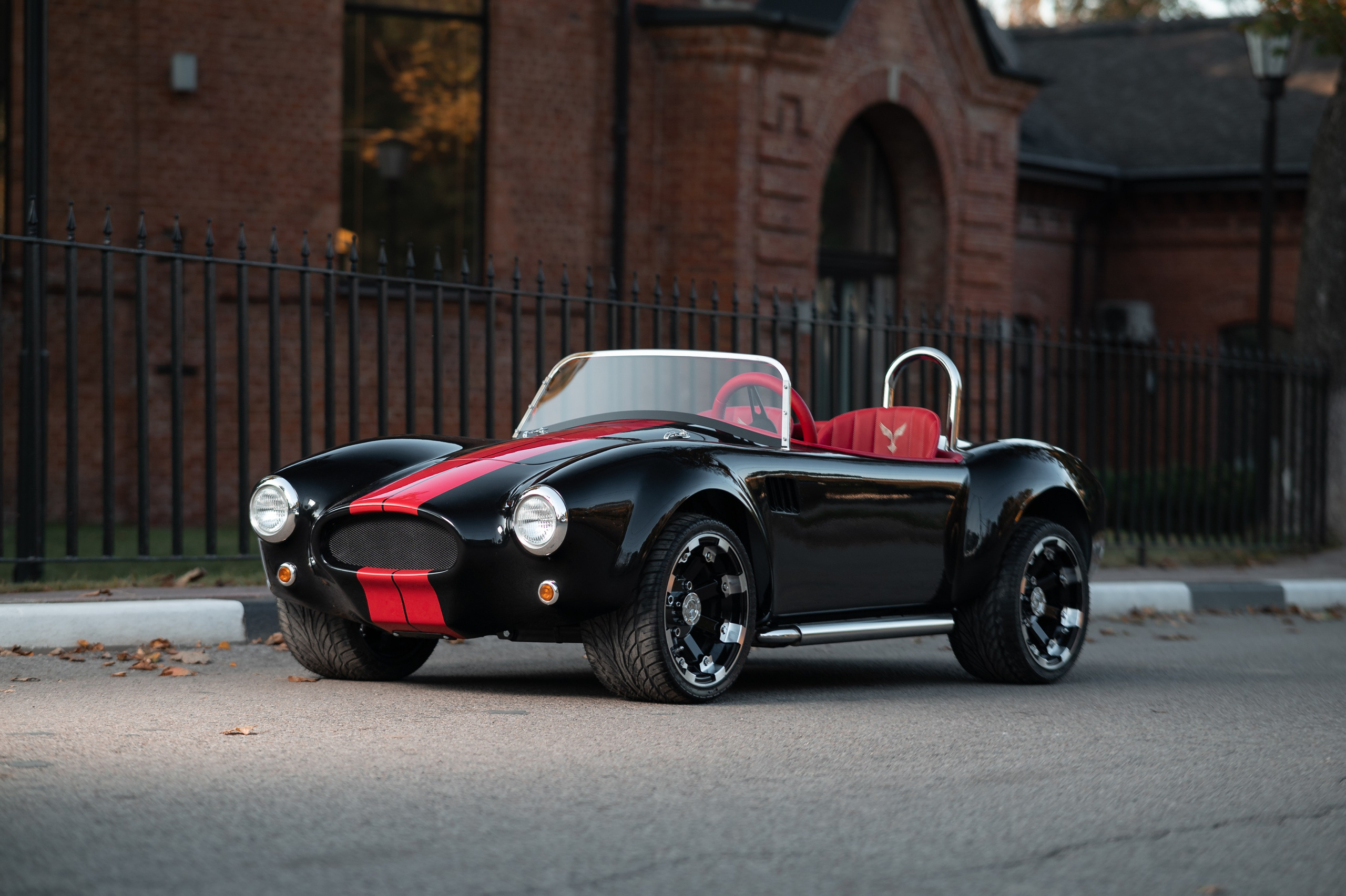 Cobra Mini. Фотограф и видеооператор в Туле | Даниил Рыбак