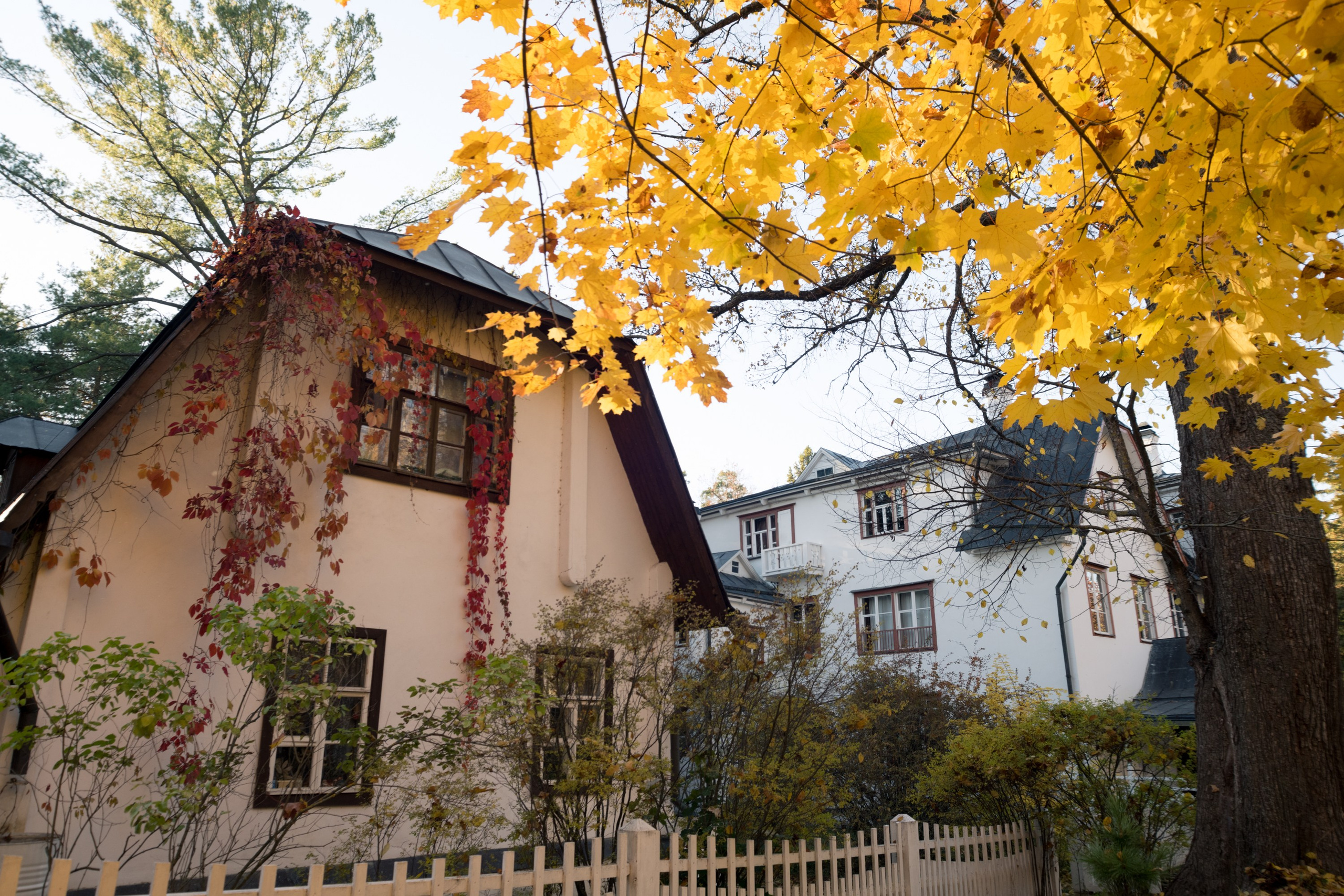 Поленово, Бёхово. Фотограф и видеооператор в Туле | Даниил Рыбак