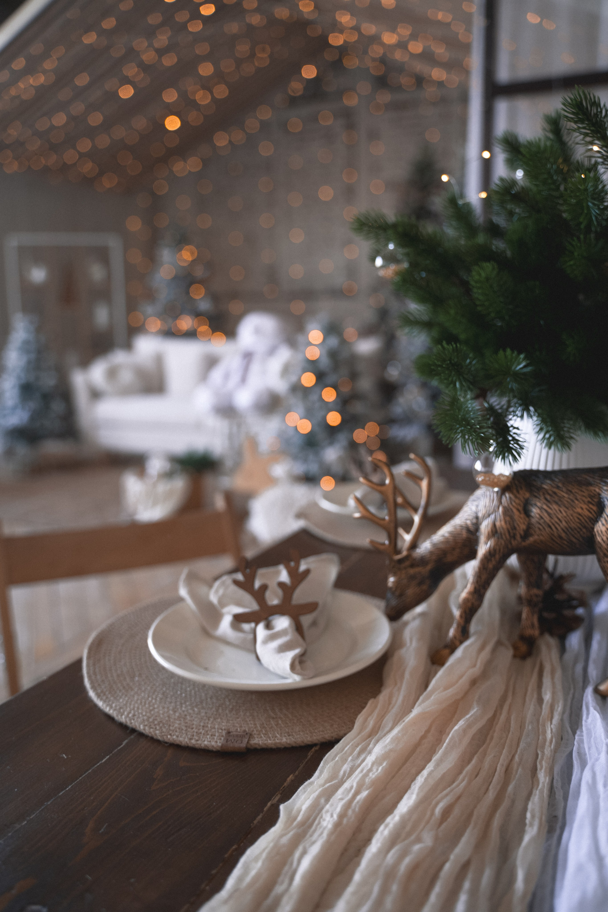 Зал Композиция. Фотограф г. Хабаровск. Семейные и индивидуальные съёмки