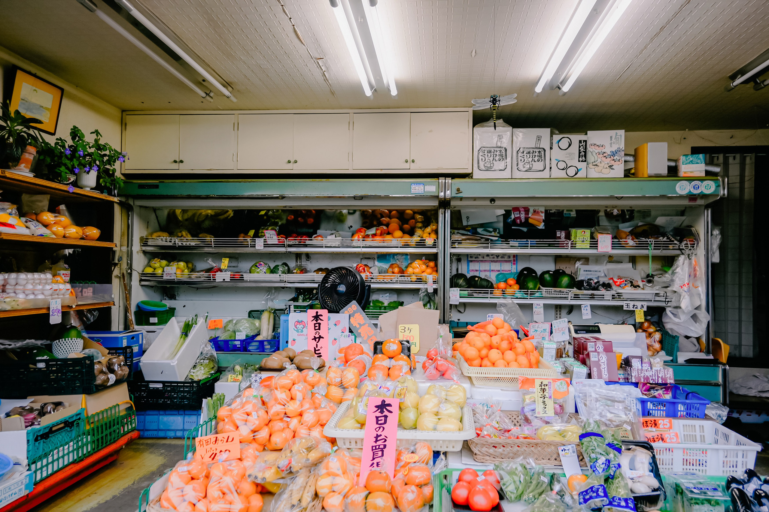 Japan village. Iraogo