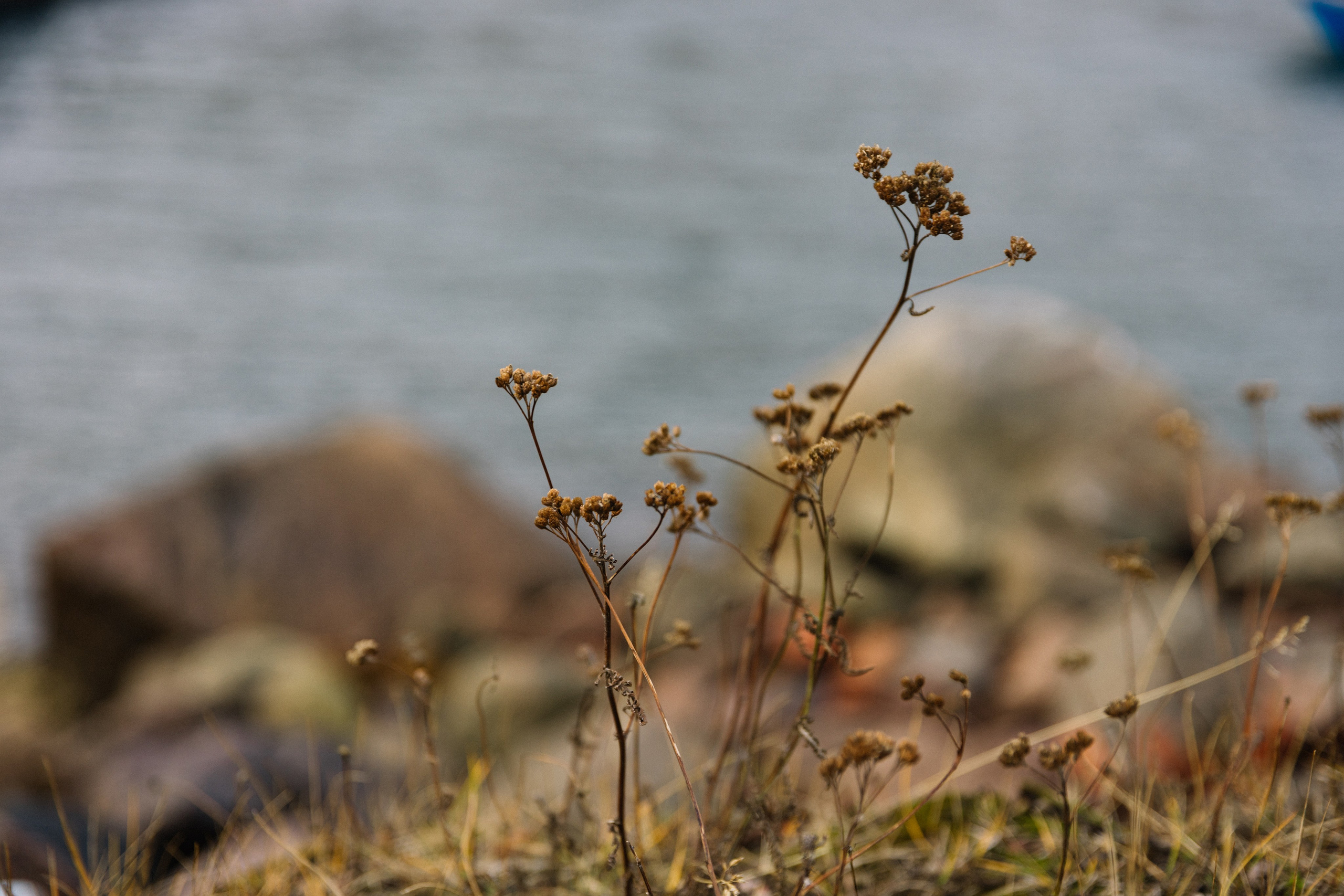 Backstage | Териберка. Репортажный фотограф в Мурманской области