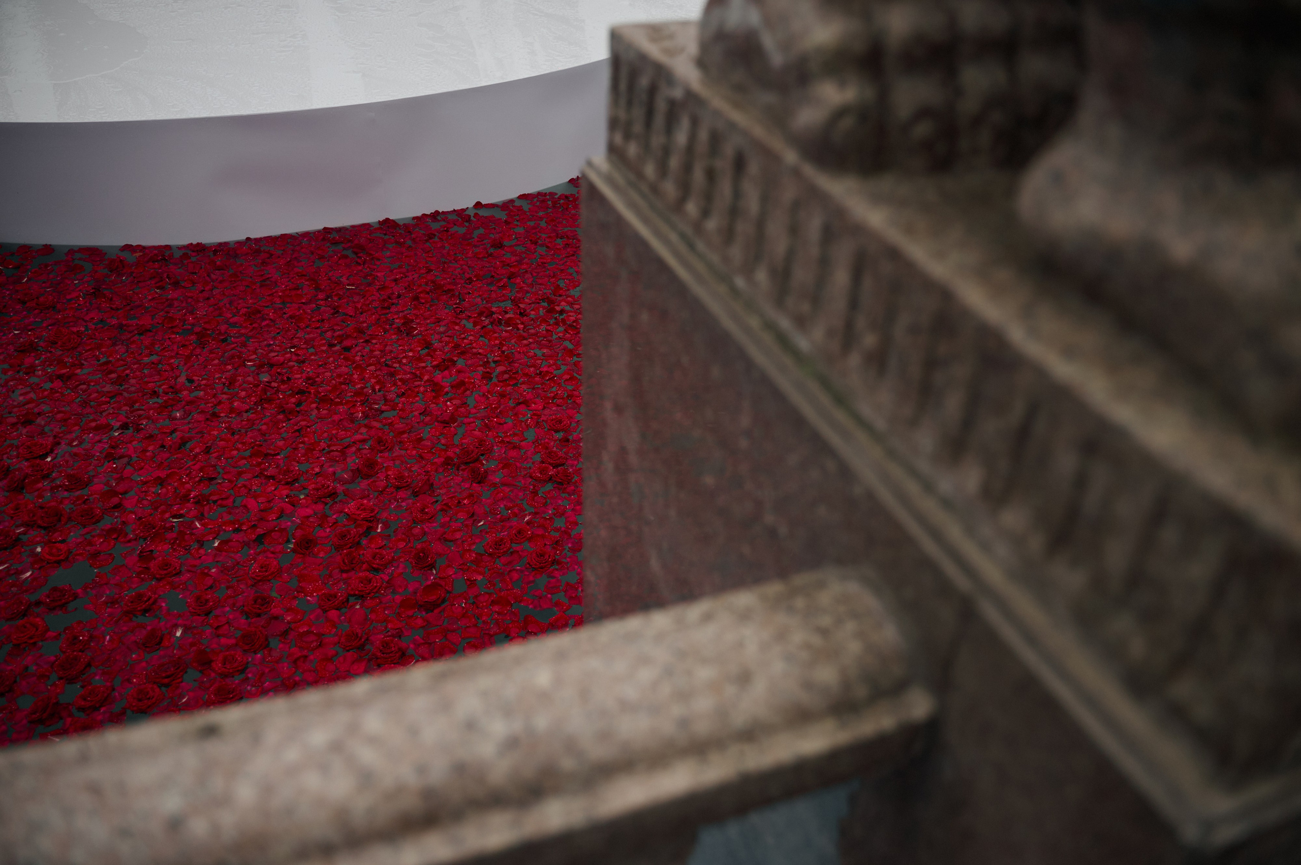 Свадьба 14.09.2024. Свадебный фотограф во Владивостоке Гарагуля Игорь