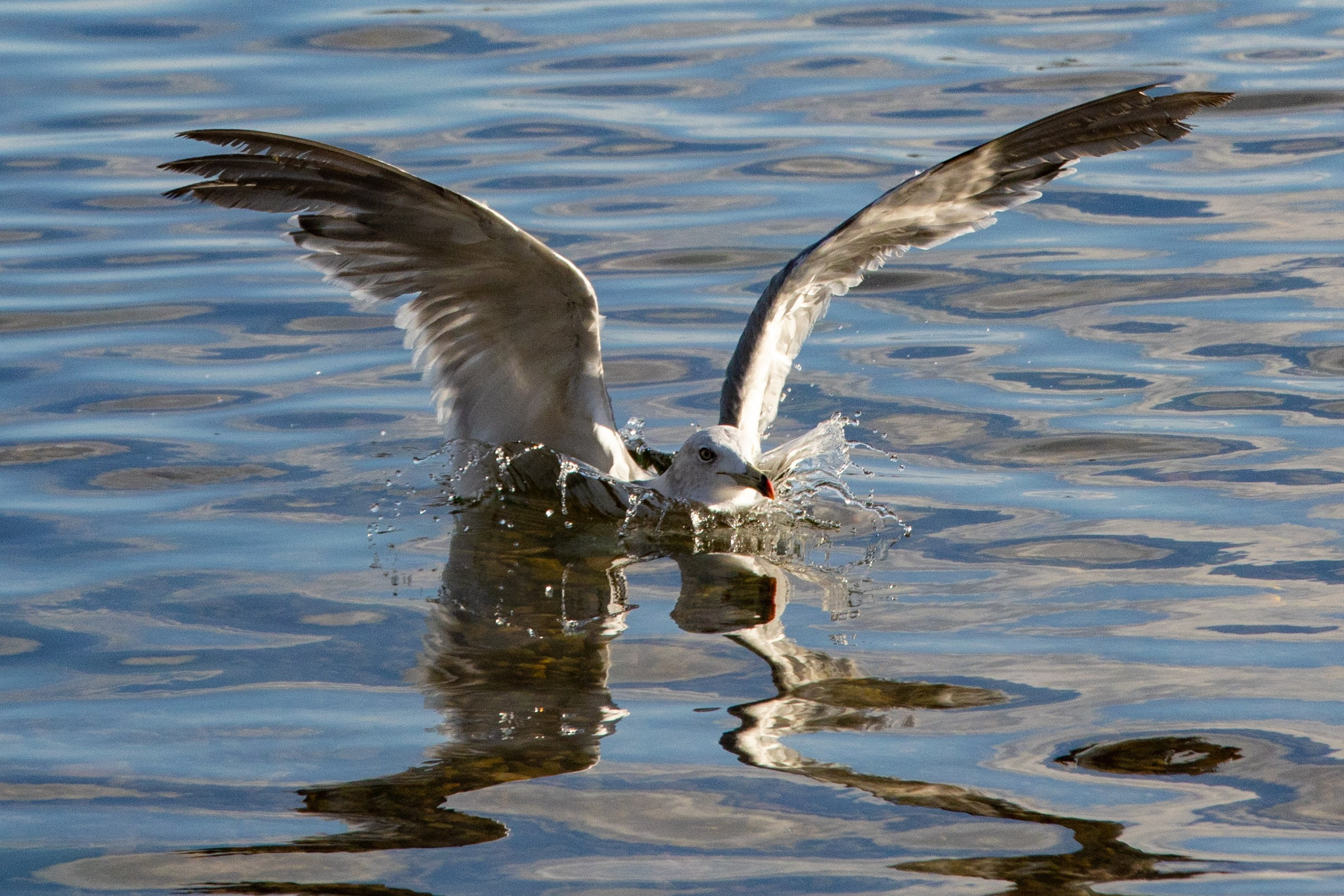 Пейзаж. Репортажный Фотограф во Владивостоке и России Осипчук Дмитрий