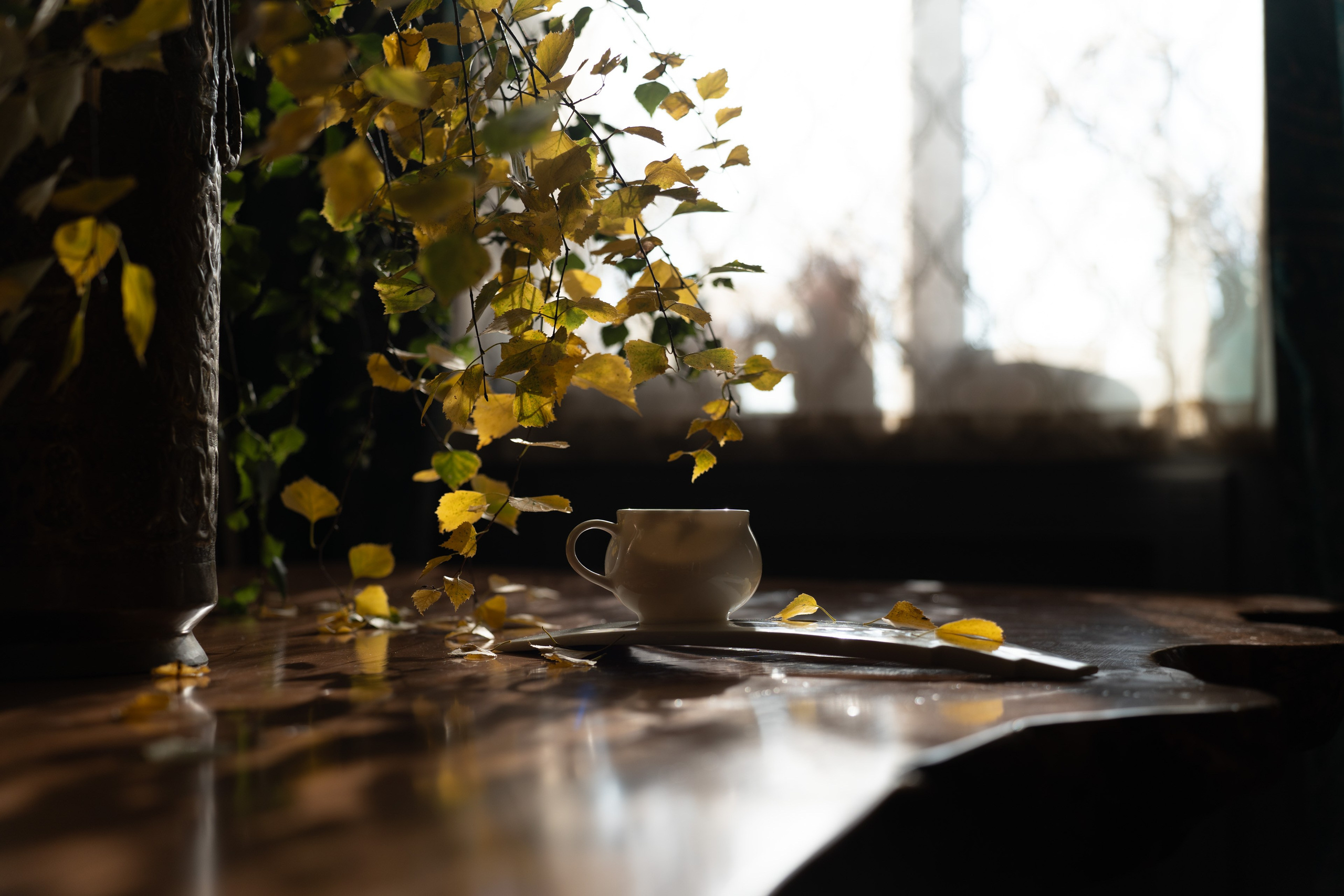 Контровой солнечный свет, на столе ваза с ветками и чайная пара