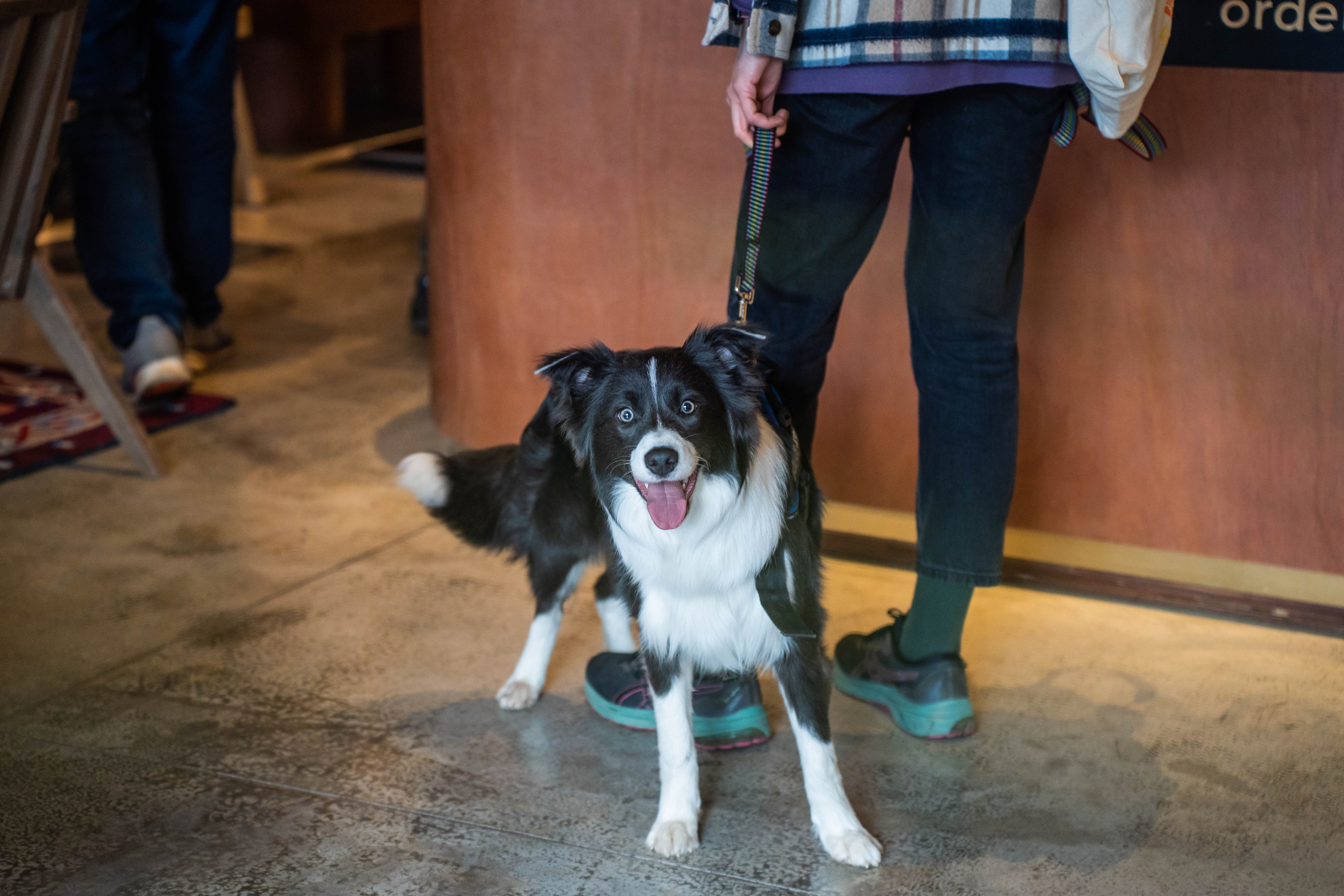 SURF COFFEE| DAY. Фотограф Абакумова Анастасия