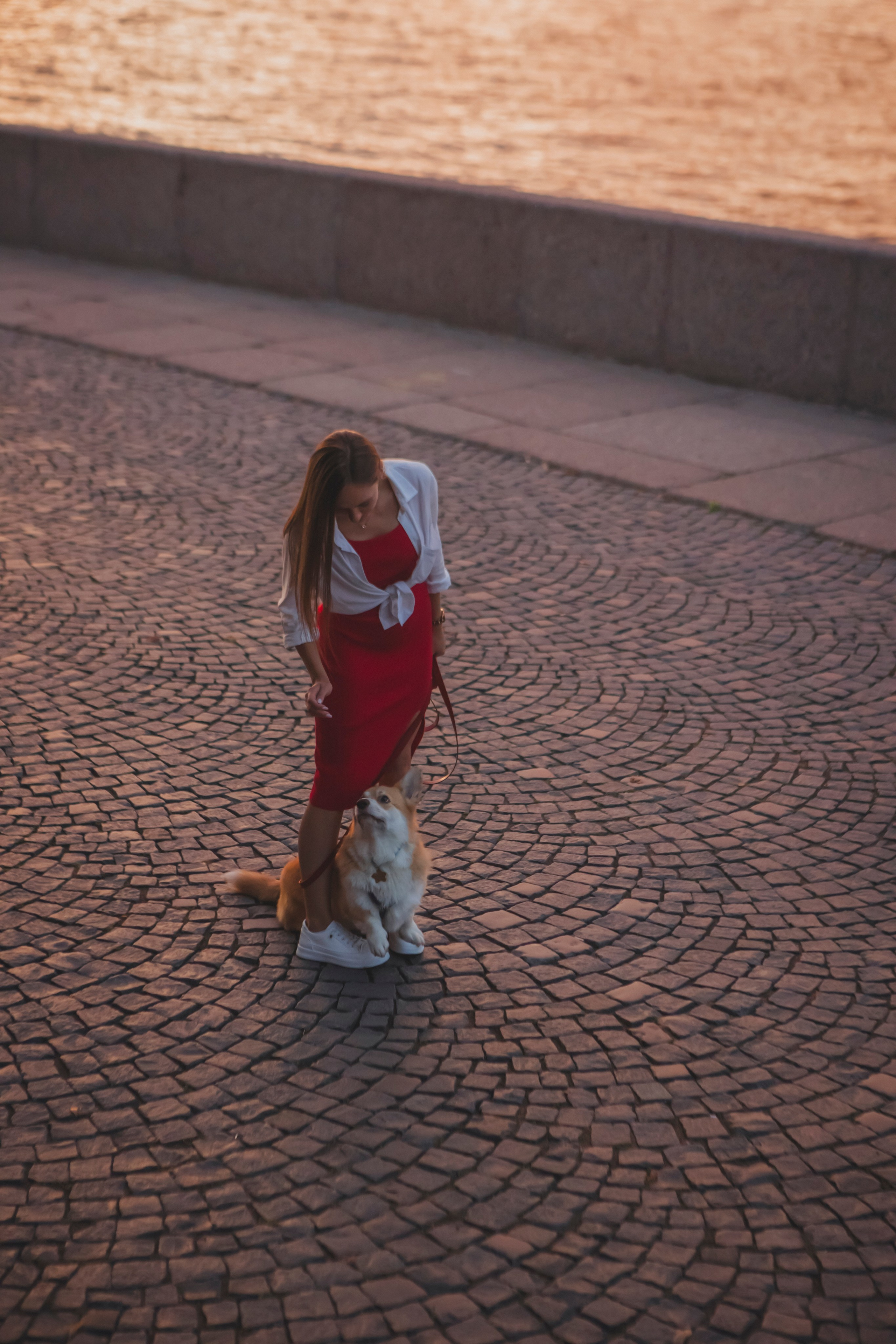 Настя и Стёпа. Фотограф-анималист в Санкт-Петербурге Алина Яхонт