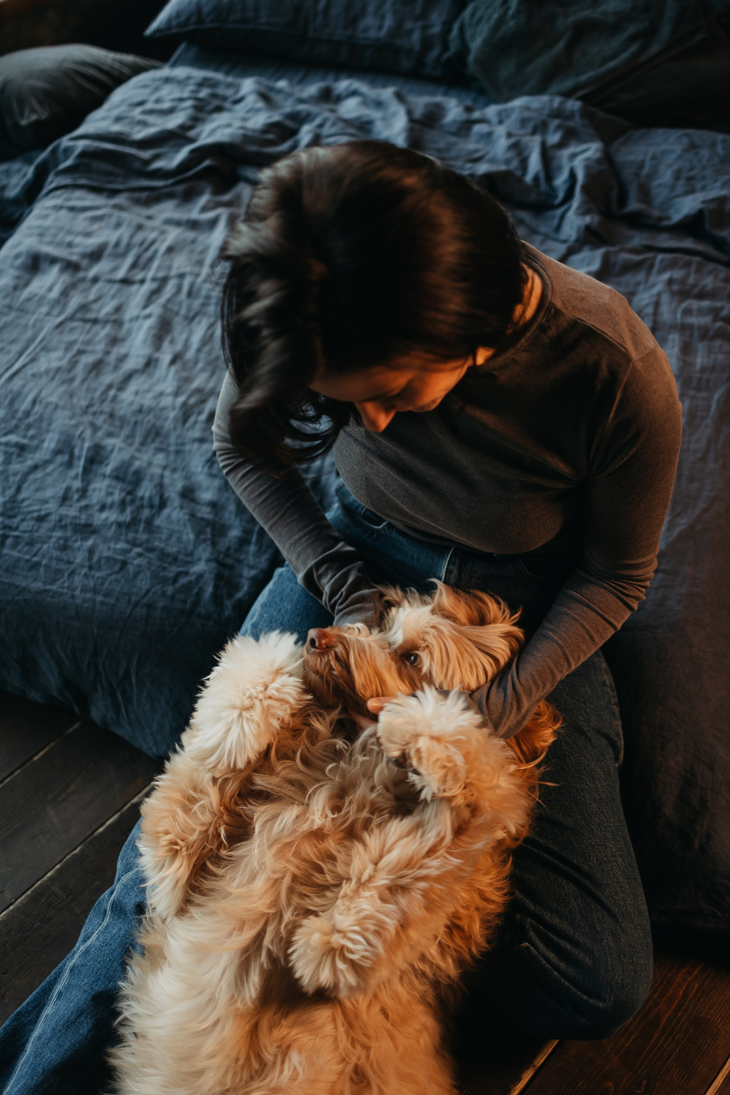 Алина и Фиби. Фотограф-анималист в Санкт-Петербурге Алина Яхонт