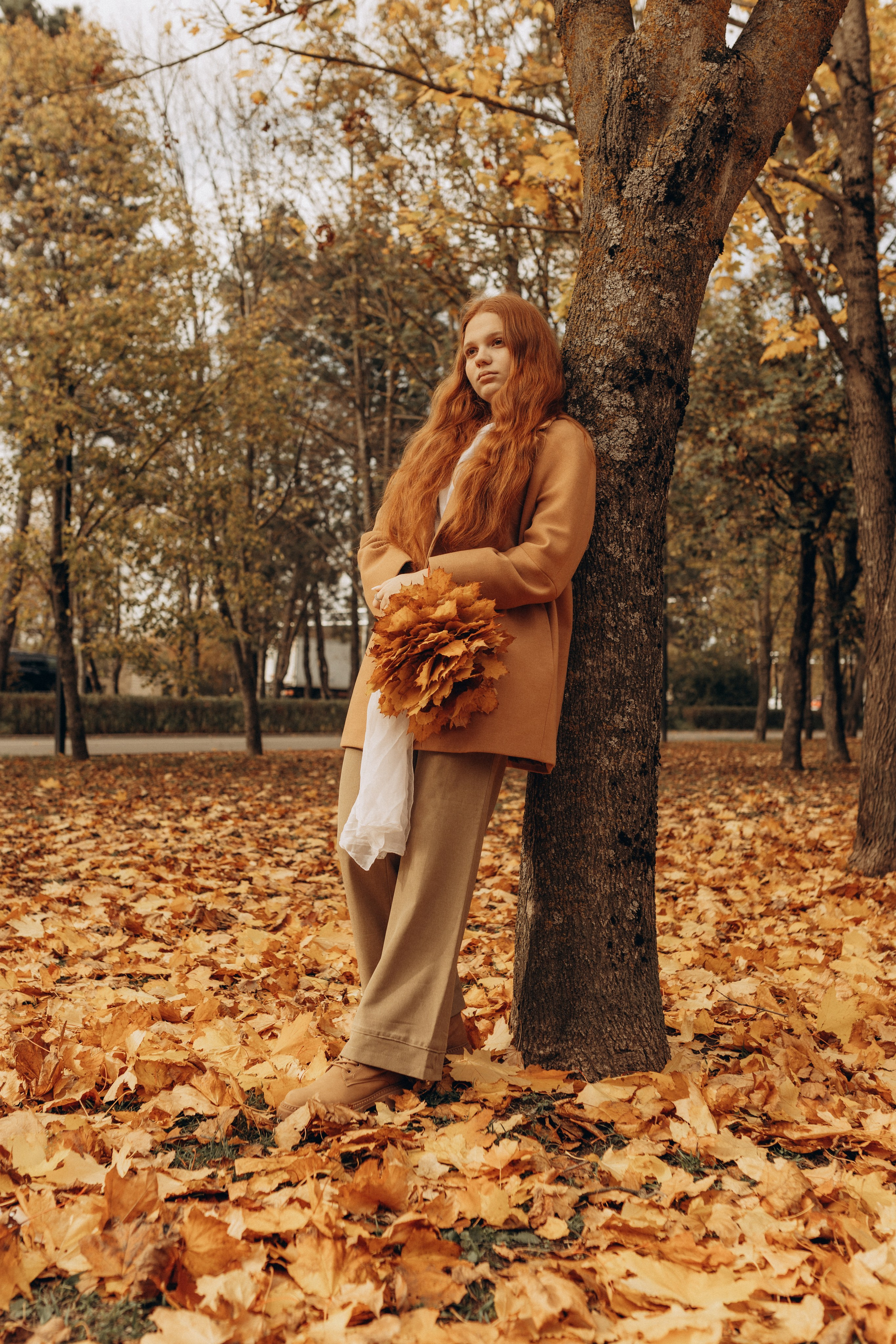 Золотая осень. Индивидуальная съёмка. Фотограф в Ставрополе Svetlana Matveeva