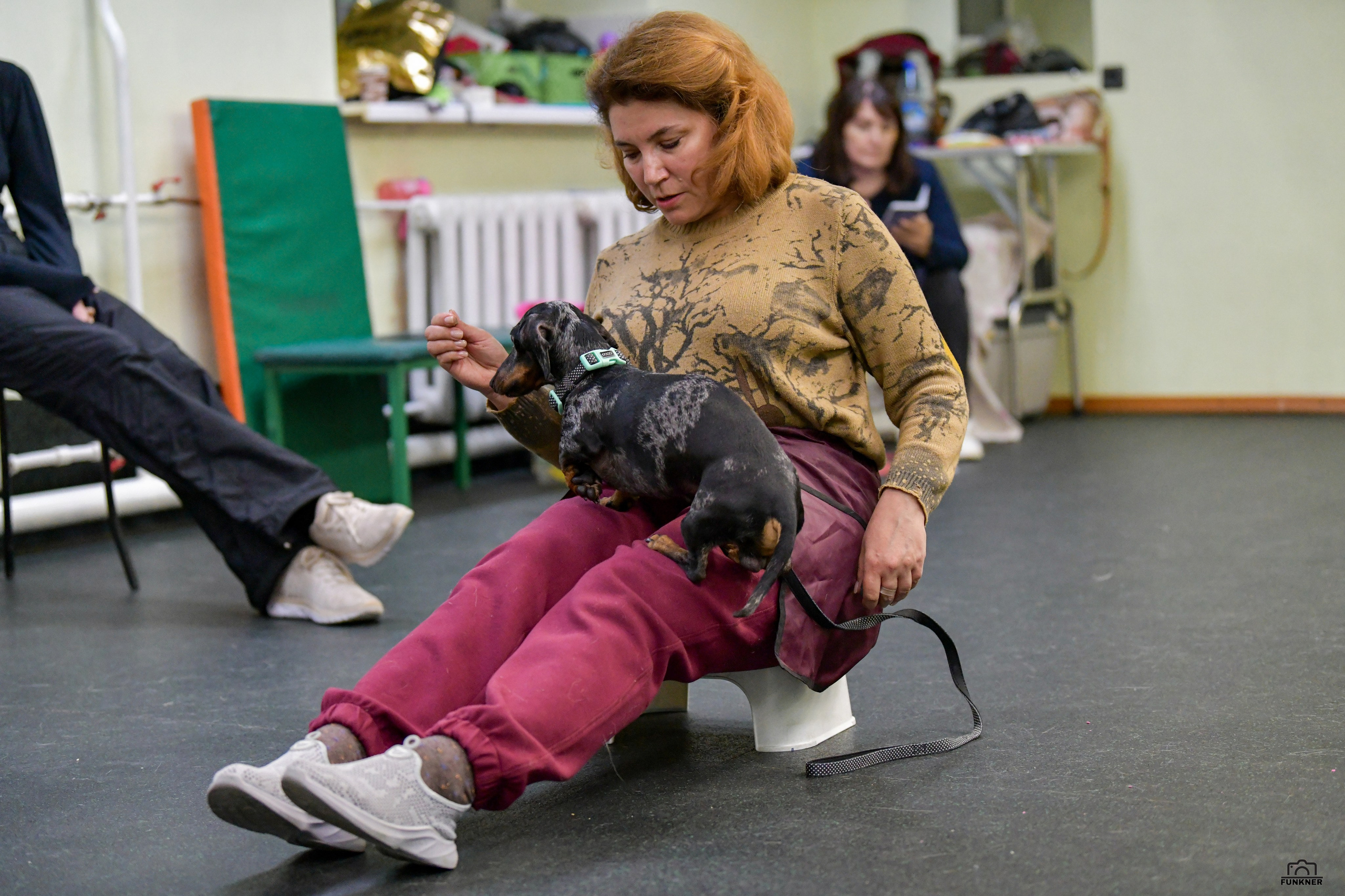 Кинологический клуб «Бодрый хвост». Свой взгляд через объектив