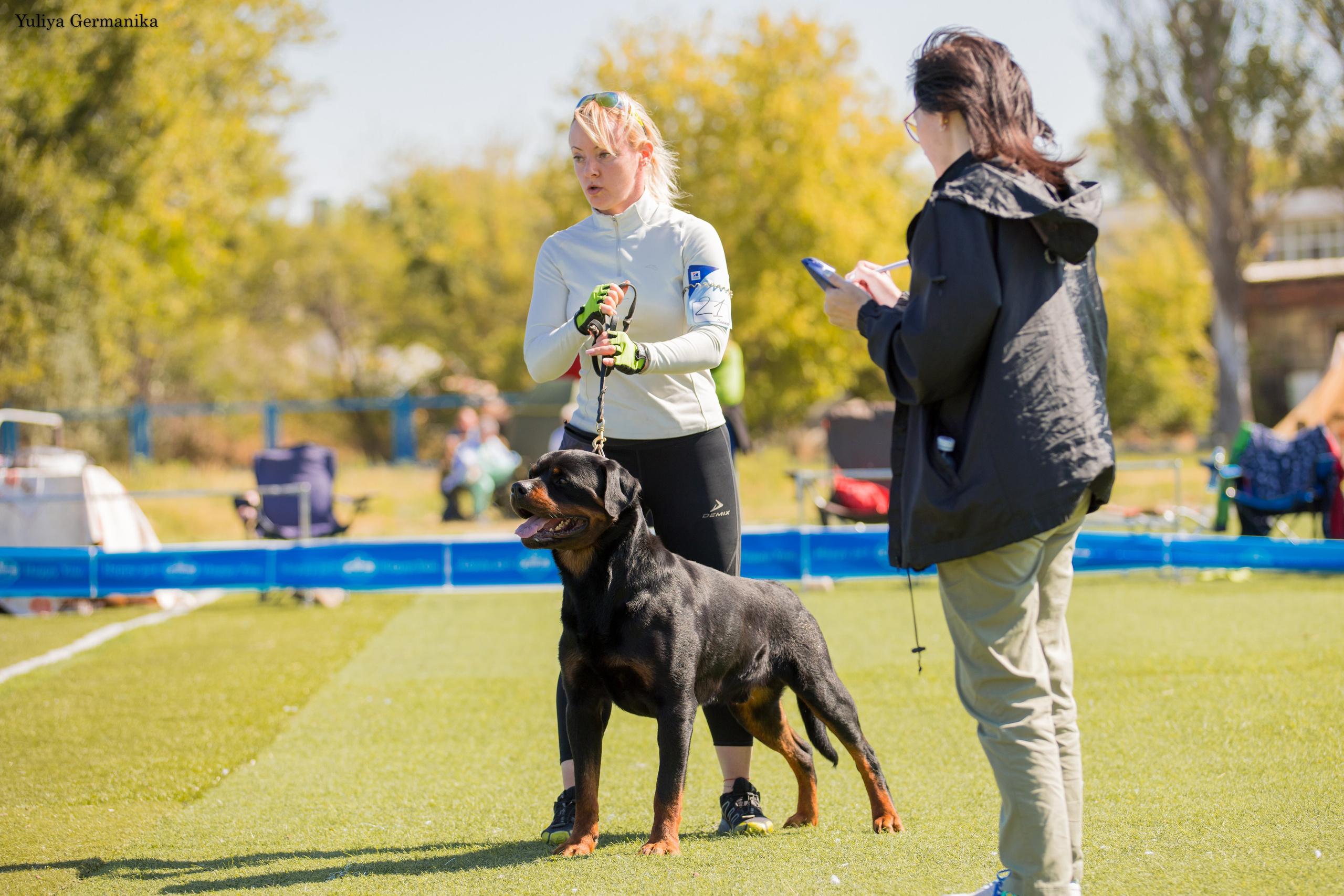 Анапа 16-17.09.2023 моно ротвейлеров. Фотограф-анималист Юлия Германика