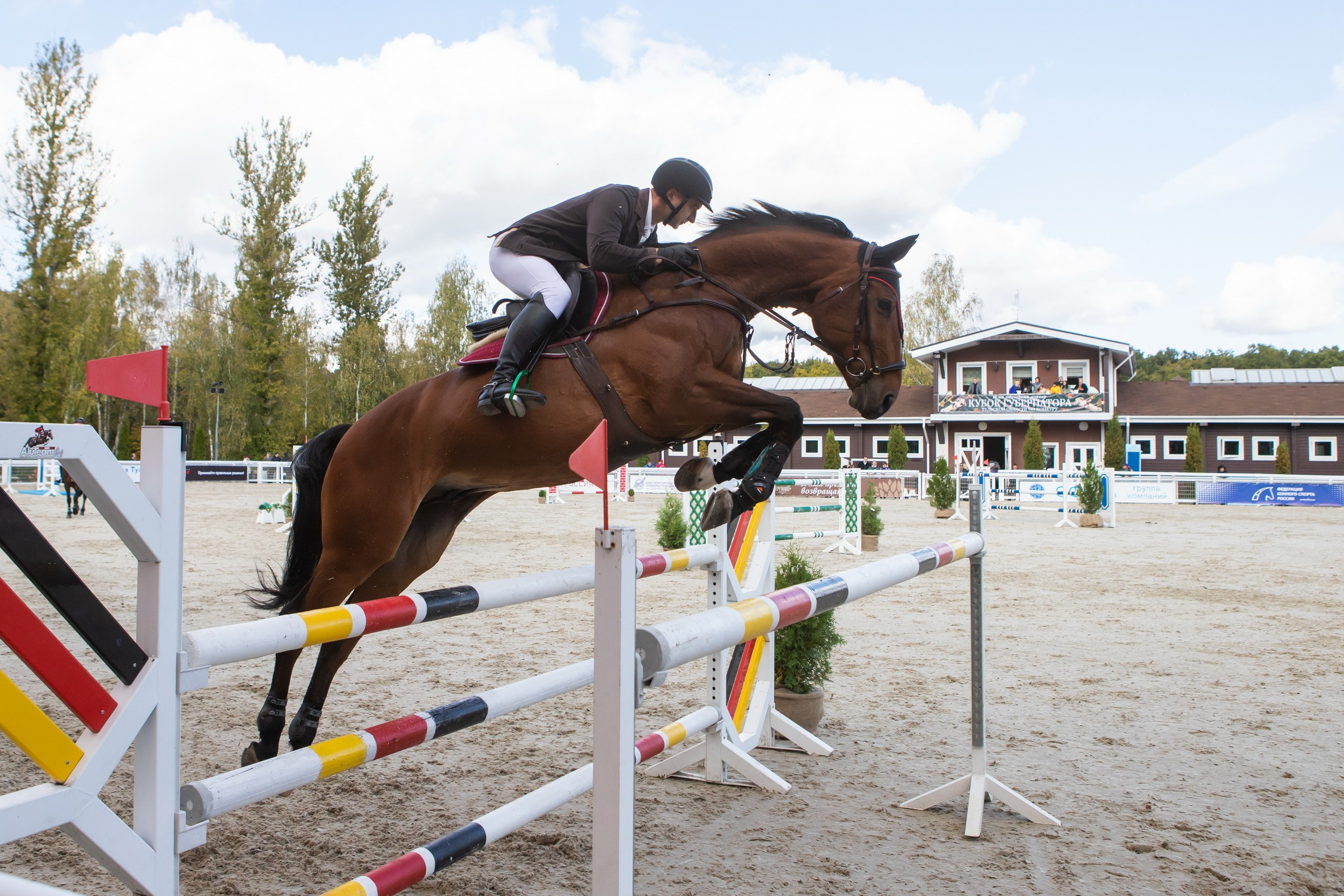 Кубок Губернатора по конкуру (21 сентября 2019). Репортажный фотограф Алексей Пирязев