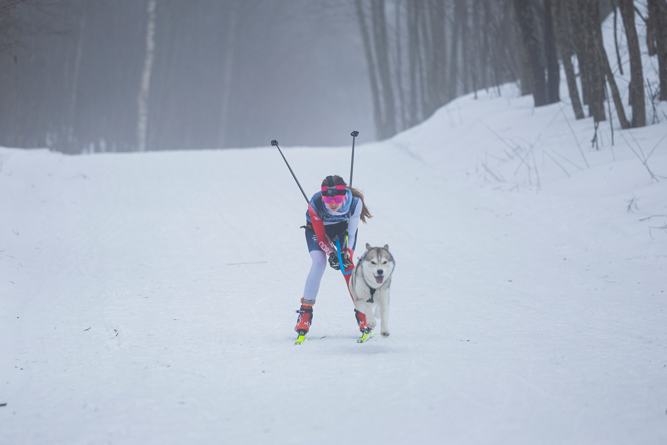Зимний Чемпионат Санкт-Петербурга по ездовому спорту. Фотограф-анималист Анна Маринич