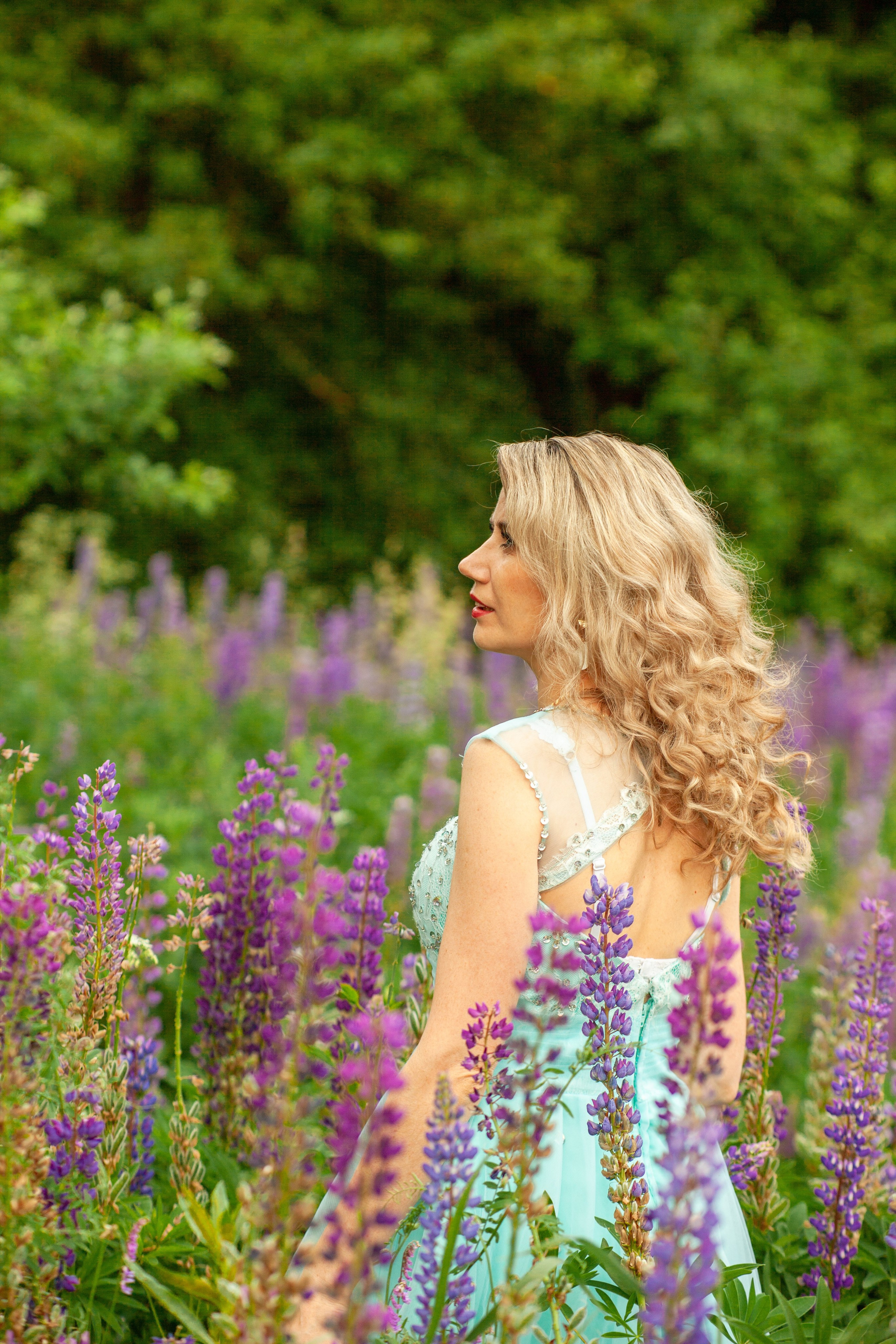 Фотосессия с люпинами. Репортажный, семейный, свадебный, портретный фотограф