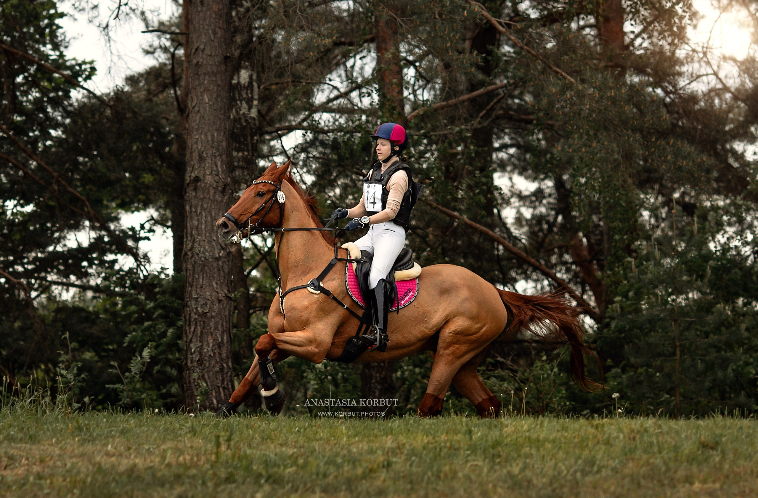Кросс | Открытые Республиканские соревнования | Июнь 2023. Арт фотограф в Минске Анастасия Корбут