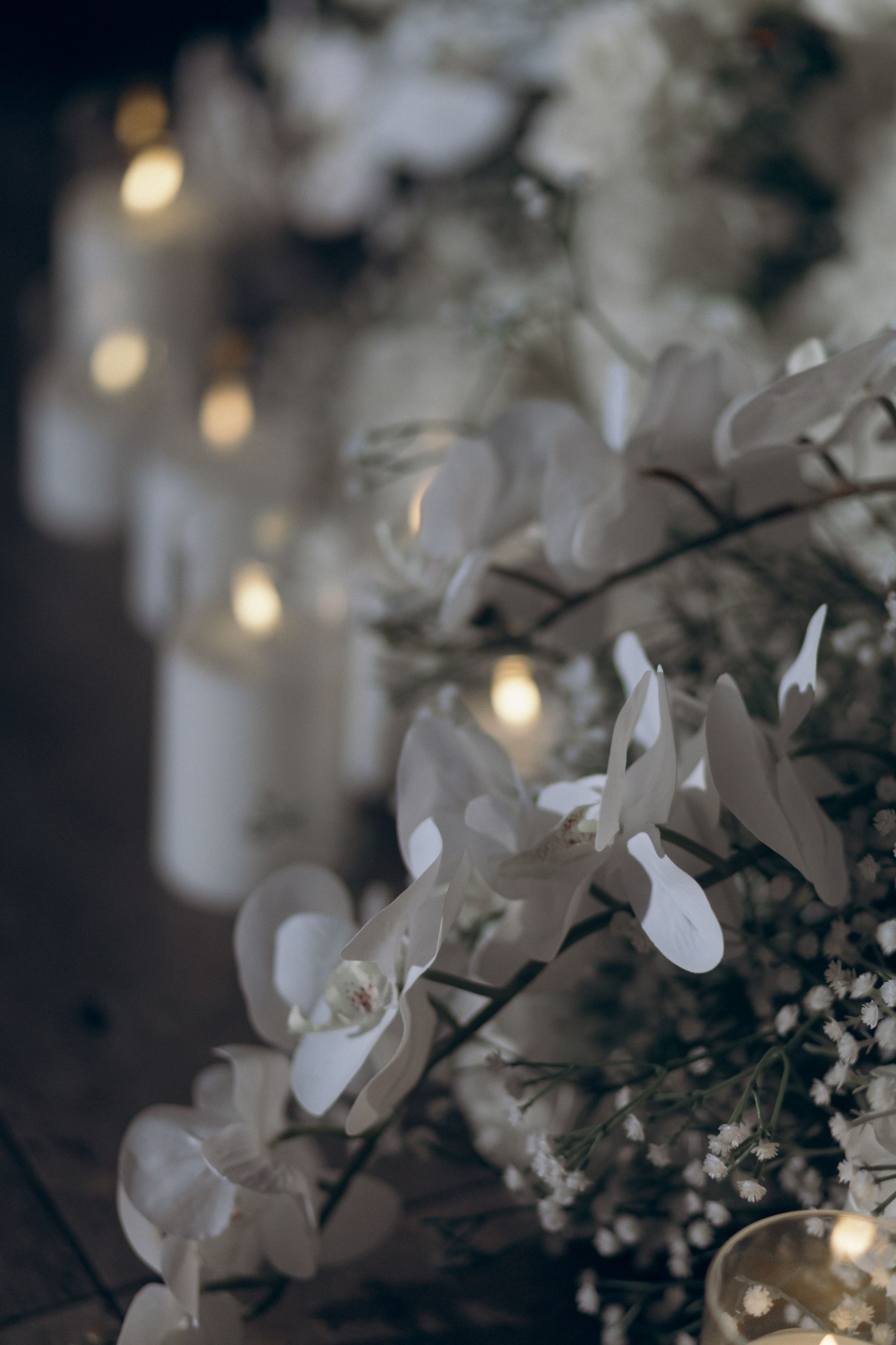 Арина и Александр, 11/10/ 2024. Свадебный  и семейный фотограф в Краснодаре