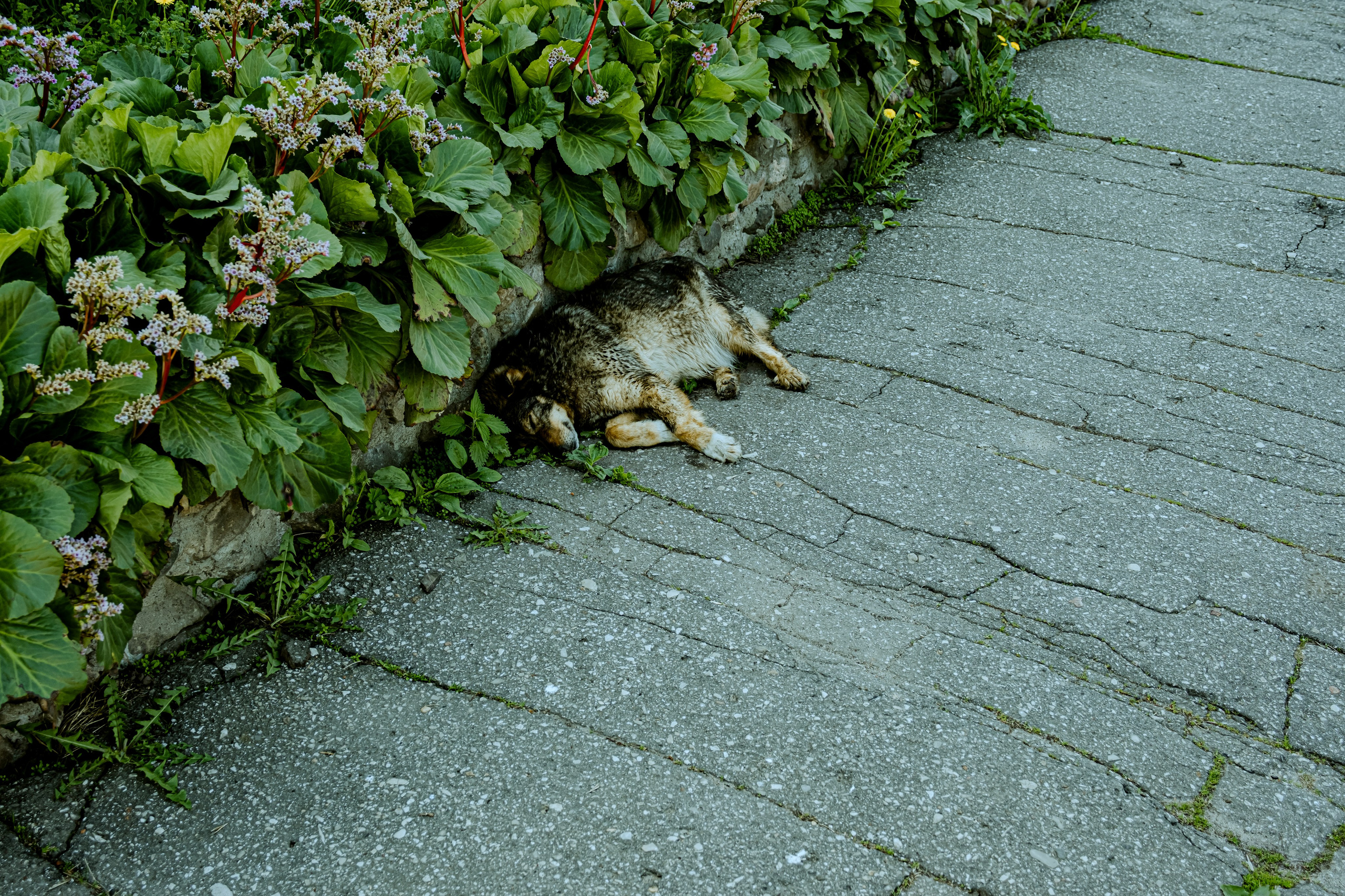 Нижний Новгород. Екатерина Лапина фотографирует