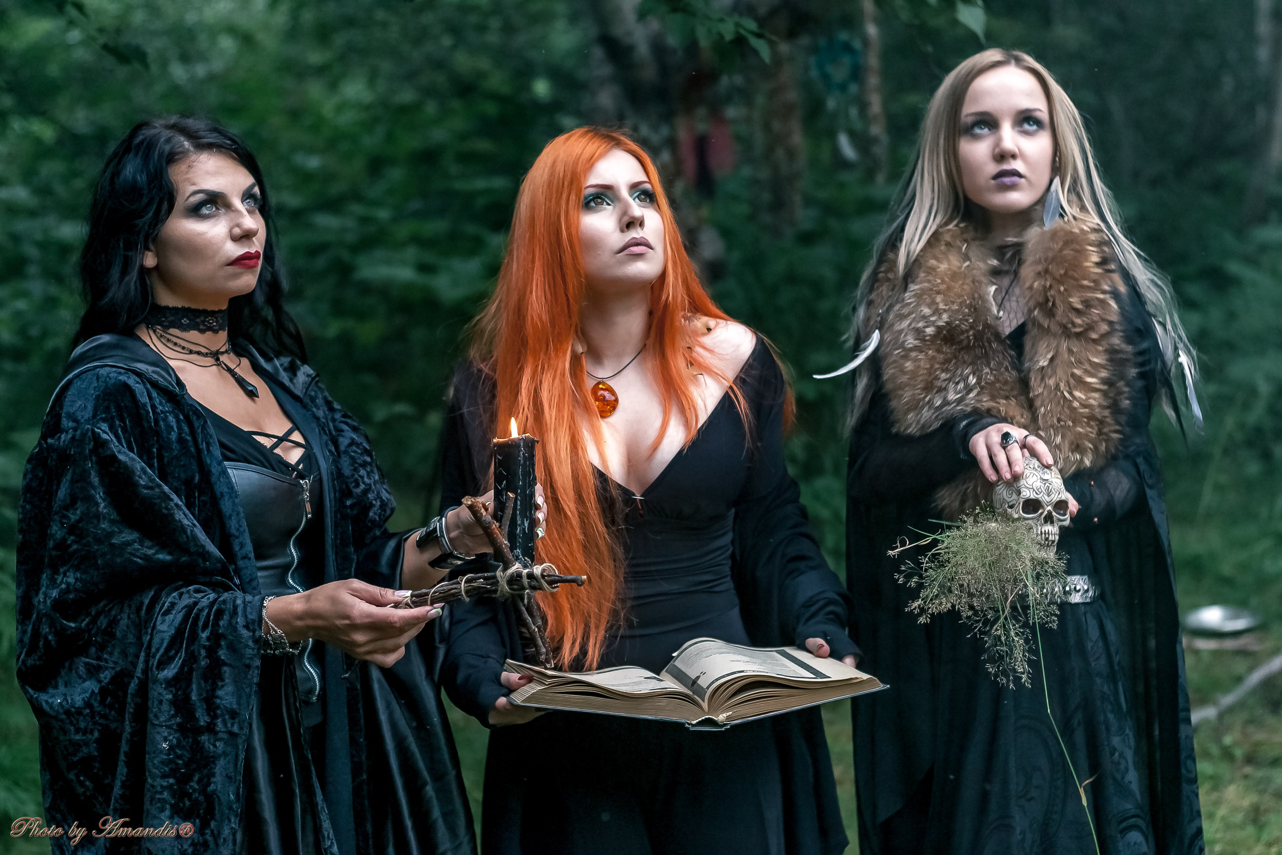 The witches. Репортажная съемка в Москве и области. Анималистика