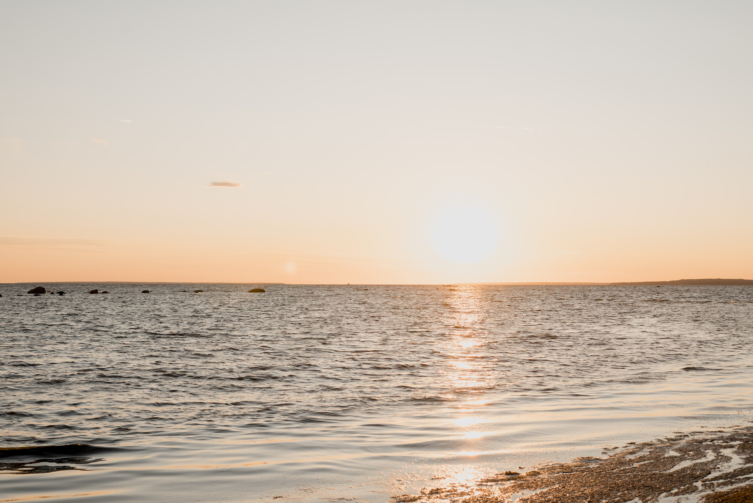 Даша и Рома. Финский залив. Юля Федоровская. Свадебный и семейный фотограф в Москве