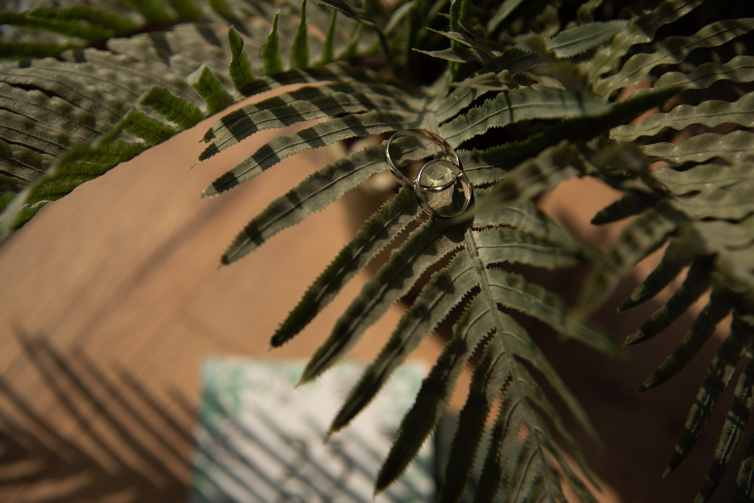 Вика и Лёша. Свадебный и семейный фотограф Ольга Астрейко