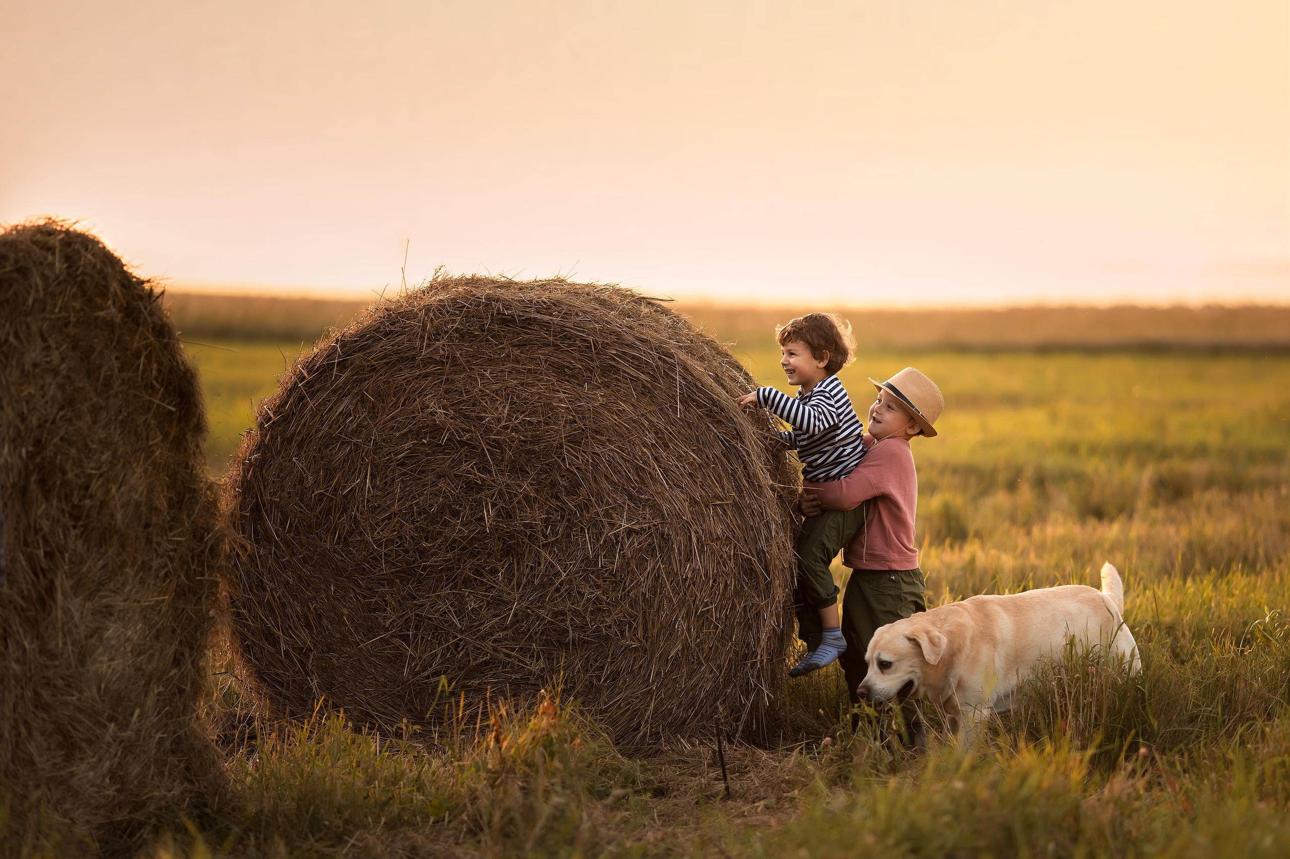 Лето. Главная