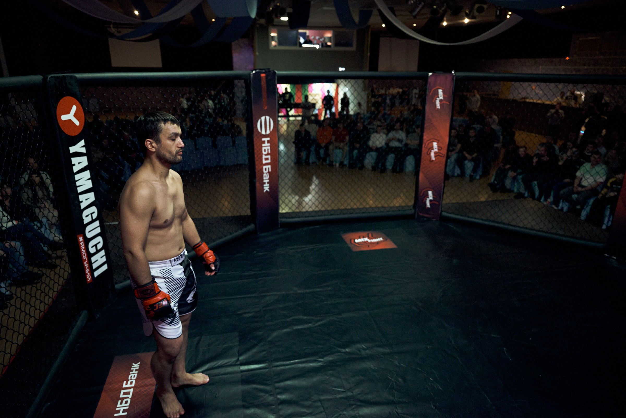 Бои. Маляревич Дмитрий свадебный фотограф