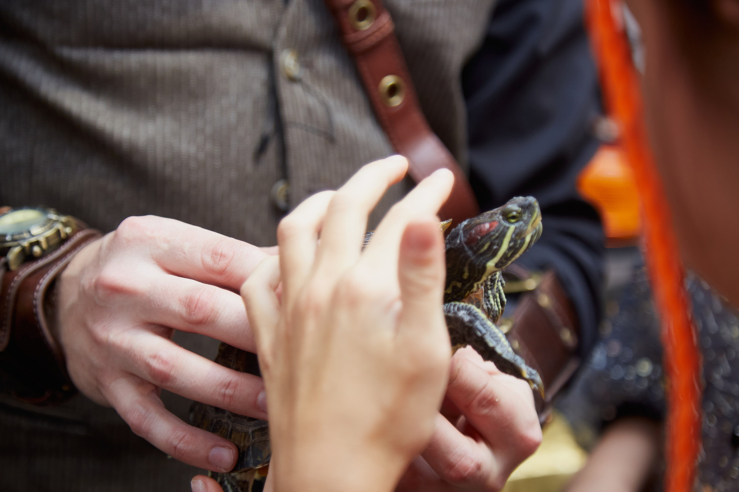 Софии 11 лет. Анимация на праздник. Свадебный фотограф Москва и Московская область Борисов Сергей