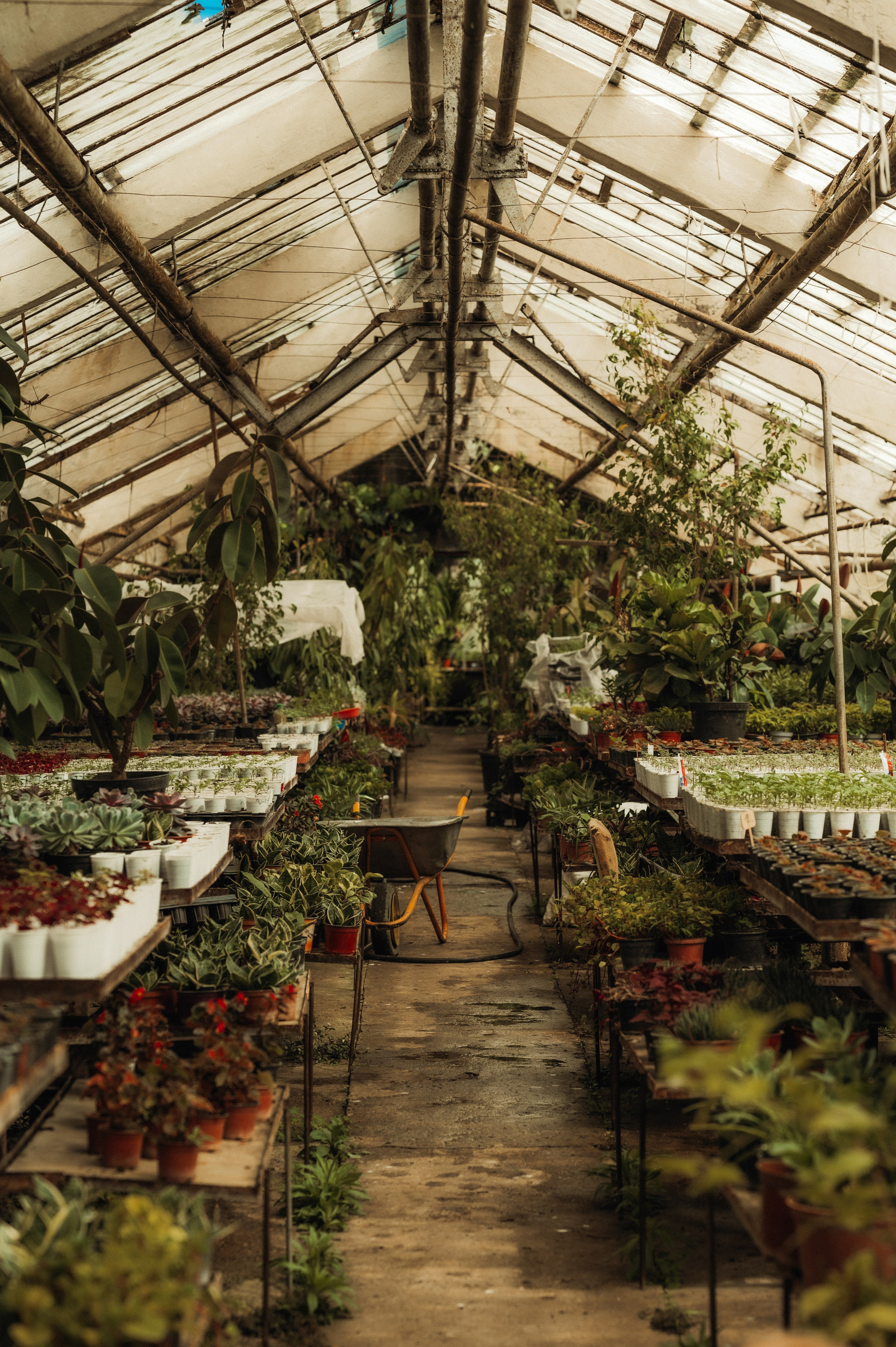 Райский сад. Семейный и свадебный фотограф в Самаре