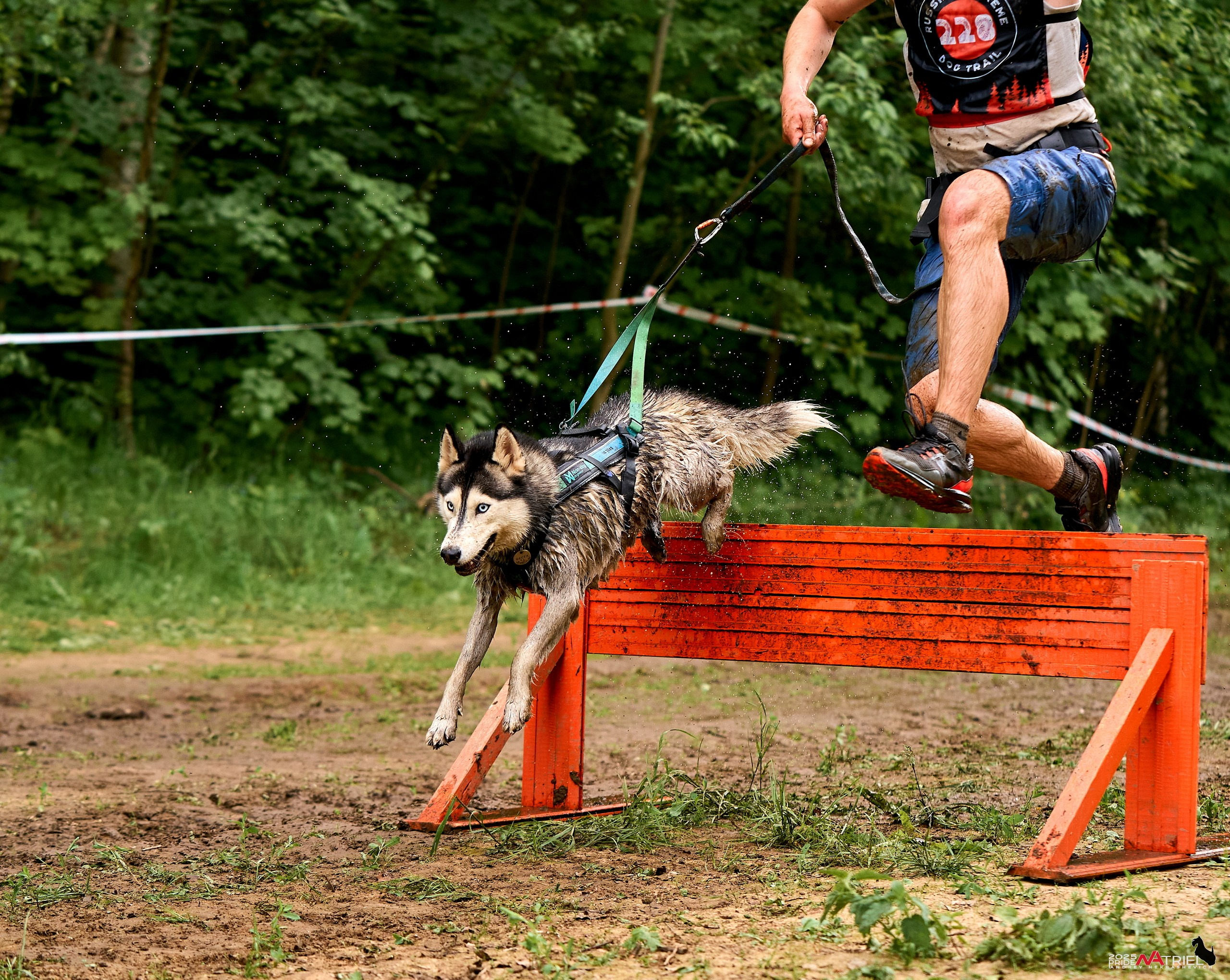 Russian Extreme Dog Trail — 2025