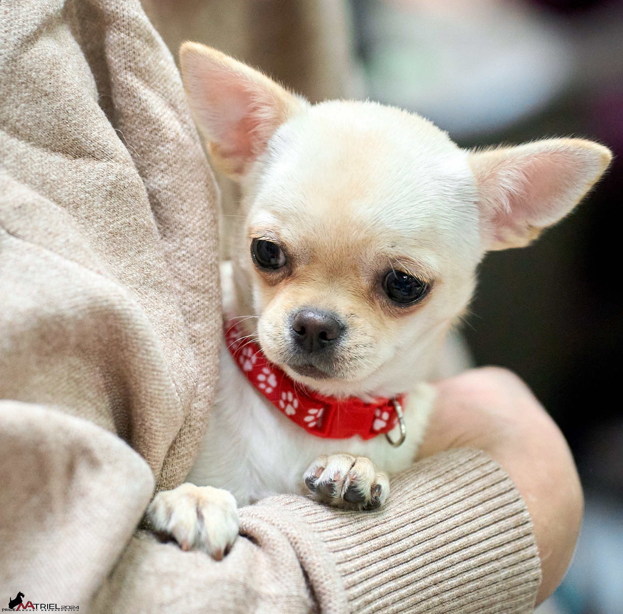 Съемка на выставке в Крокусе