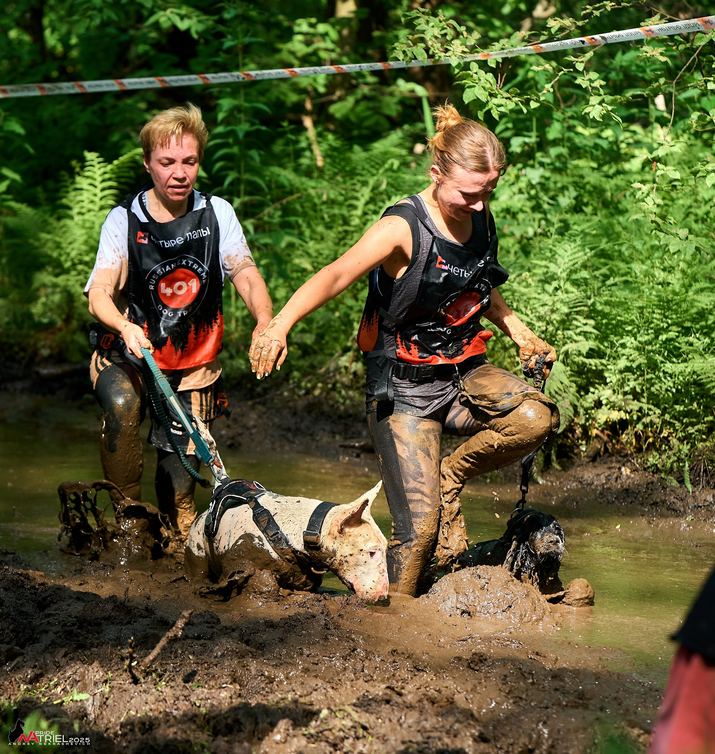 Russian Extreme Dog Trail — 2025