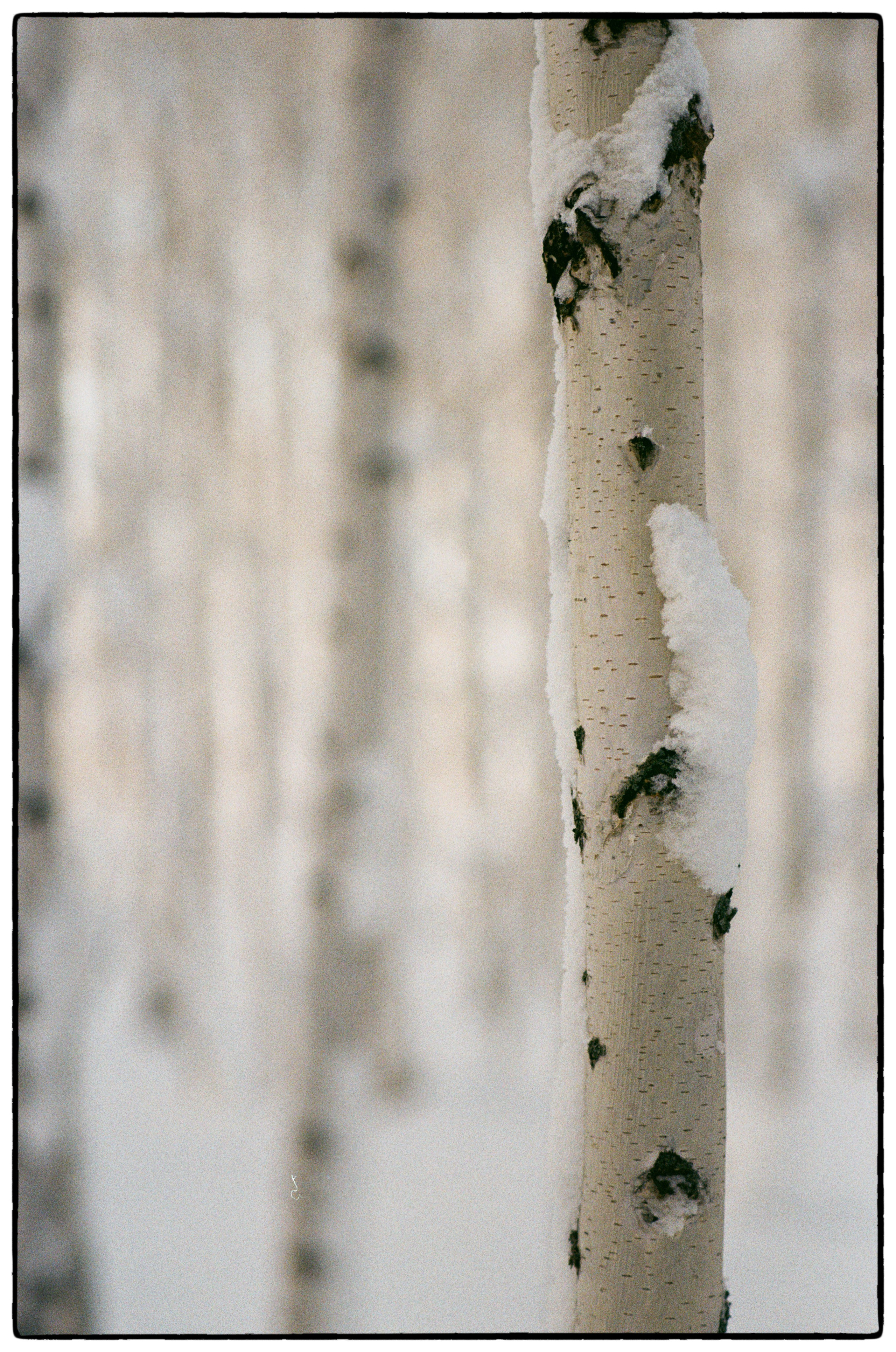 Зимнее. Фотограф Филякин Константин
