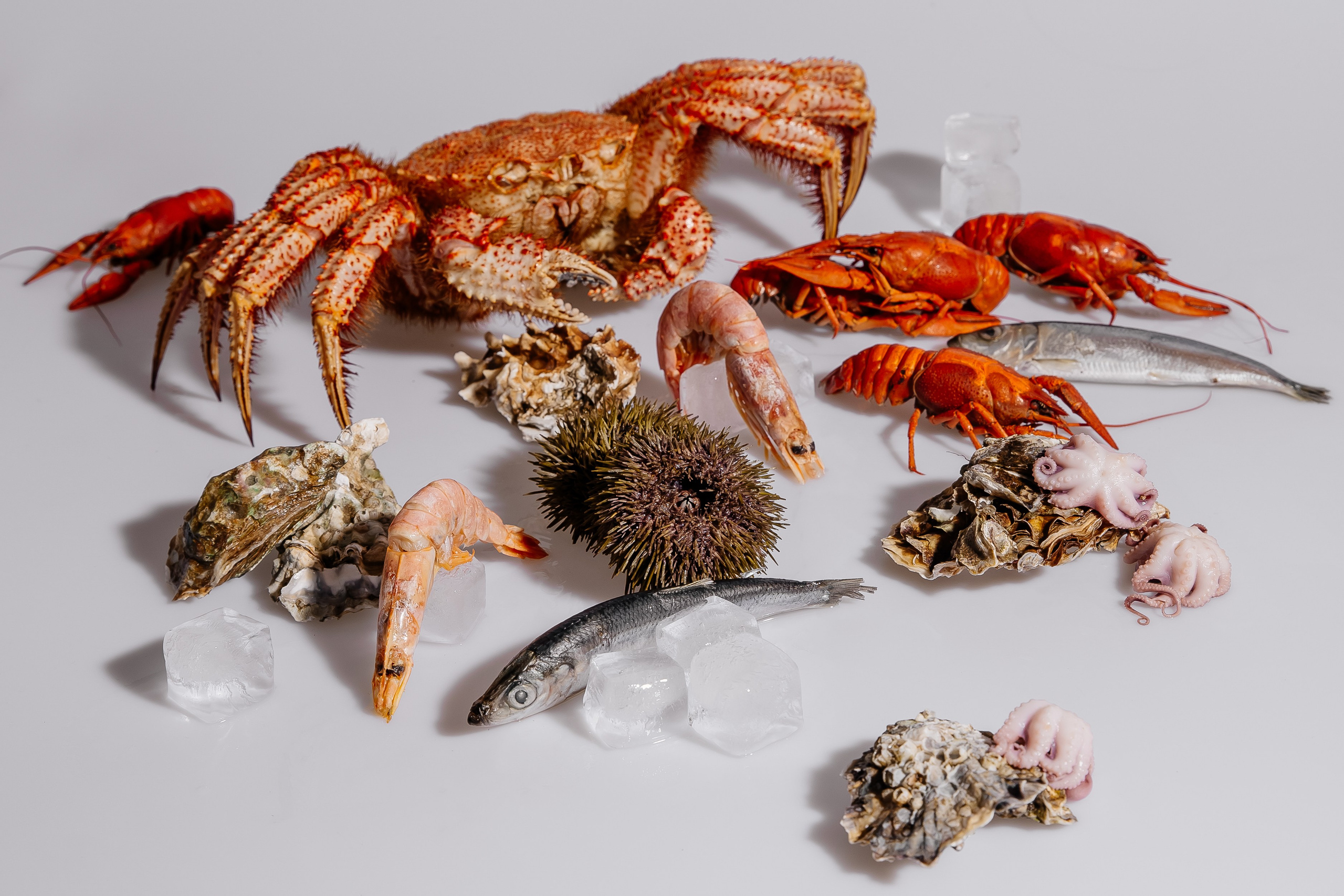 Splash.sea. Профессиональный фотограф Инесса Новикова в Москве