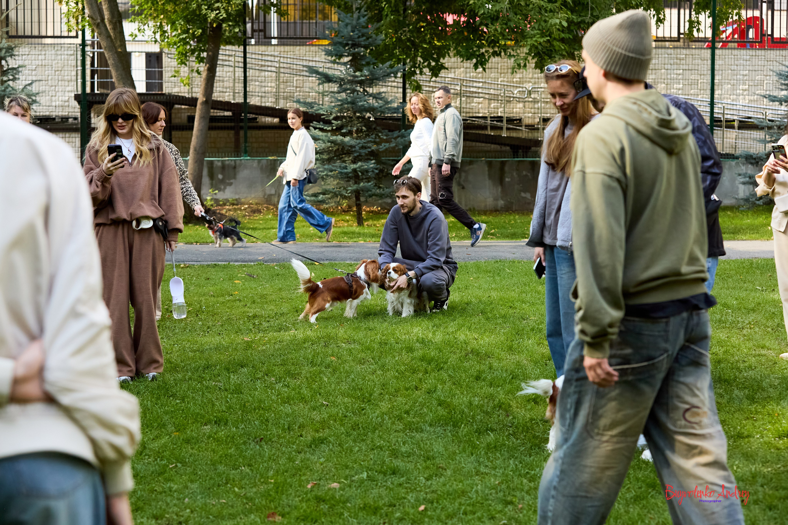 Фотопрогулка с кавалерами. Buyvolenko Andrey