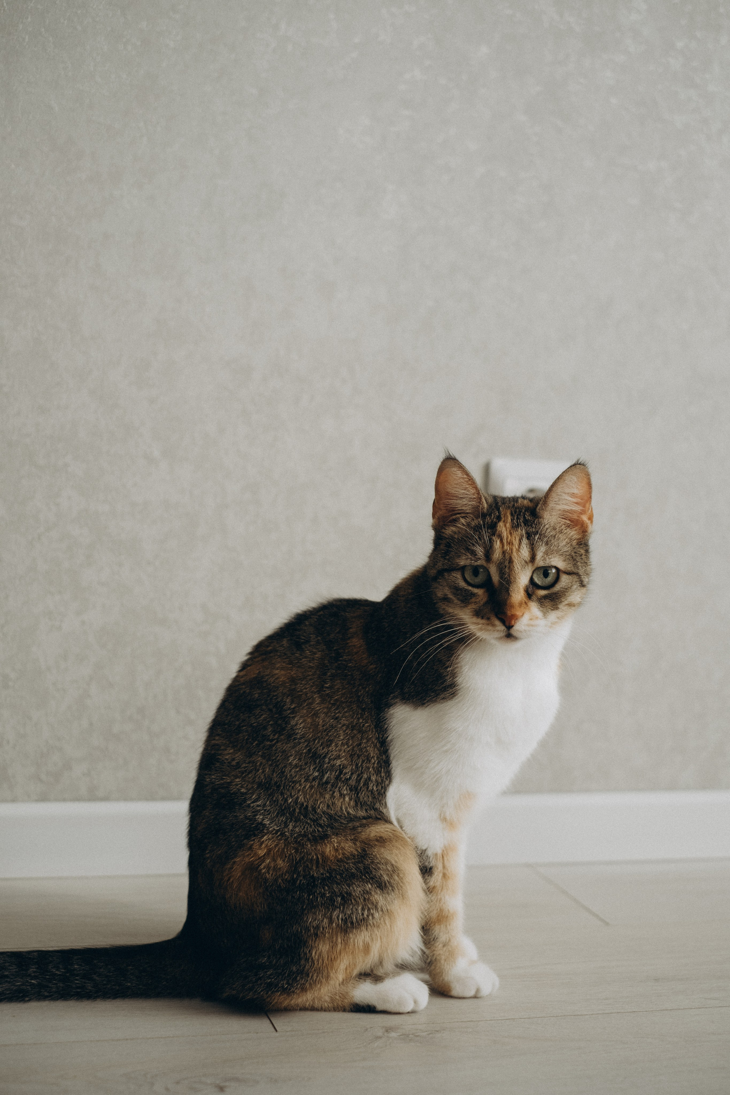 Дома. Семейный фотограф в Ростове-на-Дону Яна Макаренко