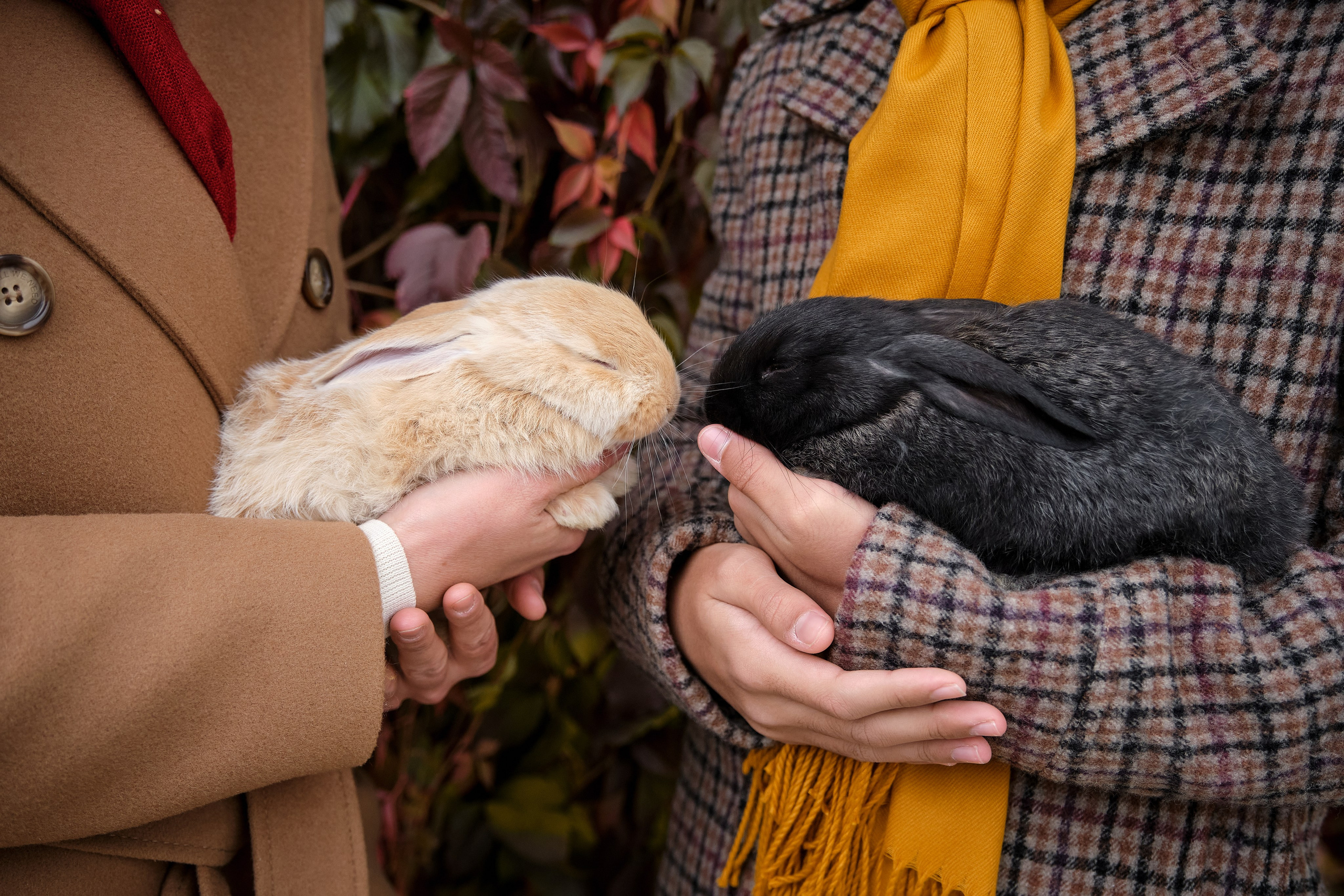 Семейная фотопрогулка