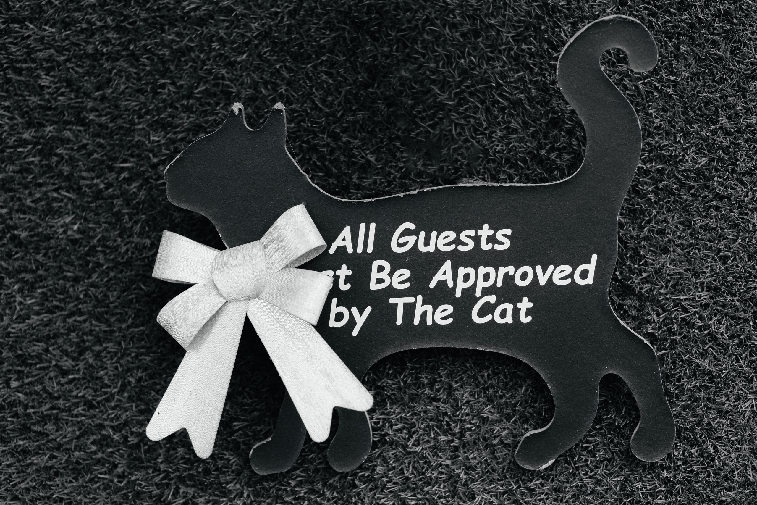 Свадебная фотосессия Анастасии и Игоря в Усадьбе Легенда. Свадебный фотограф в Минске/Беларуси Сергей Спиридонов