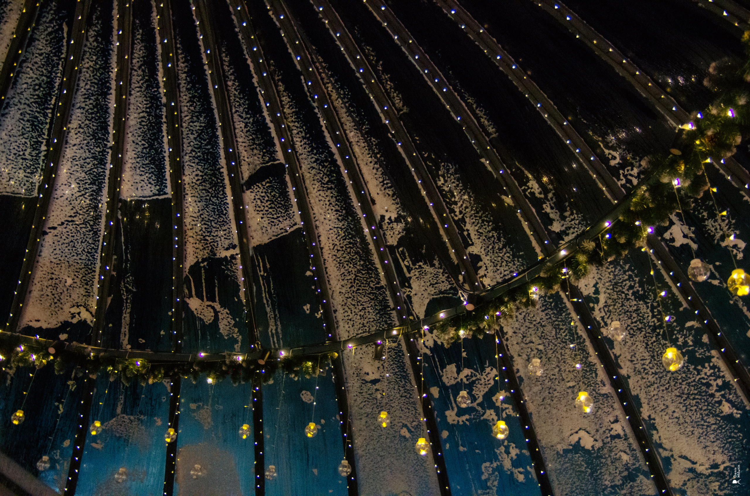 Парк Отель Хвоя. Портретный фотограф Денис Милютин