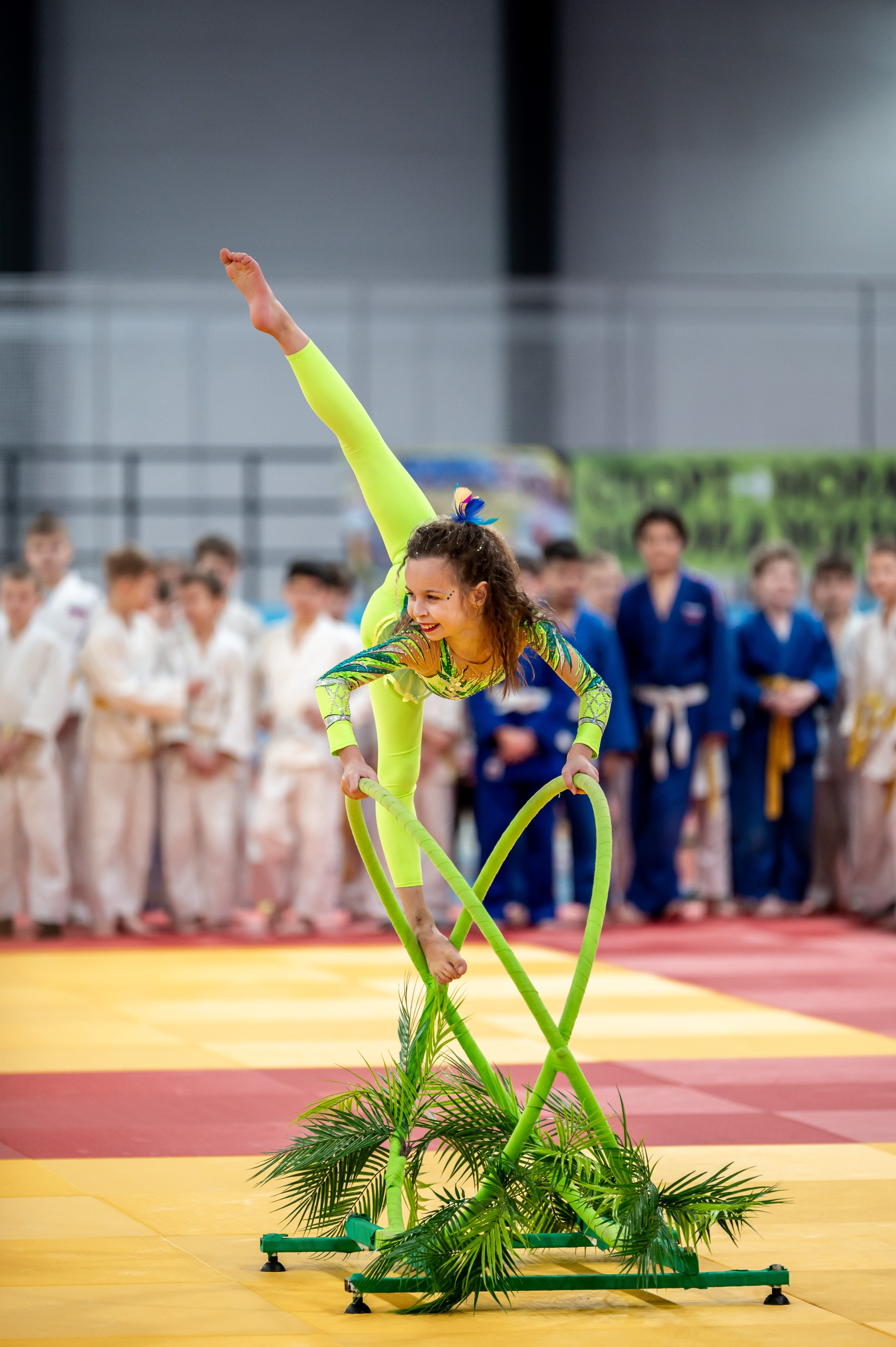 Новогодний турнир по дзюдо. Январь 2024. Спортивный фотограф в Туле и Тульской области. Файсханова Фото Спорт