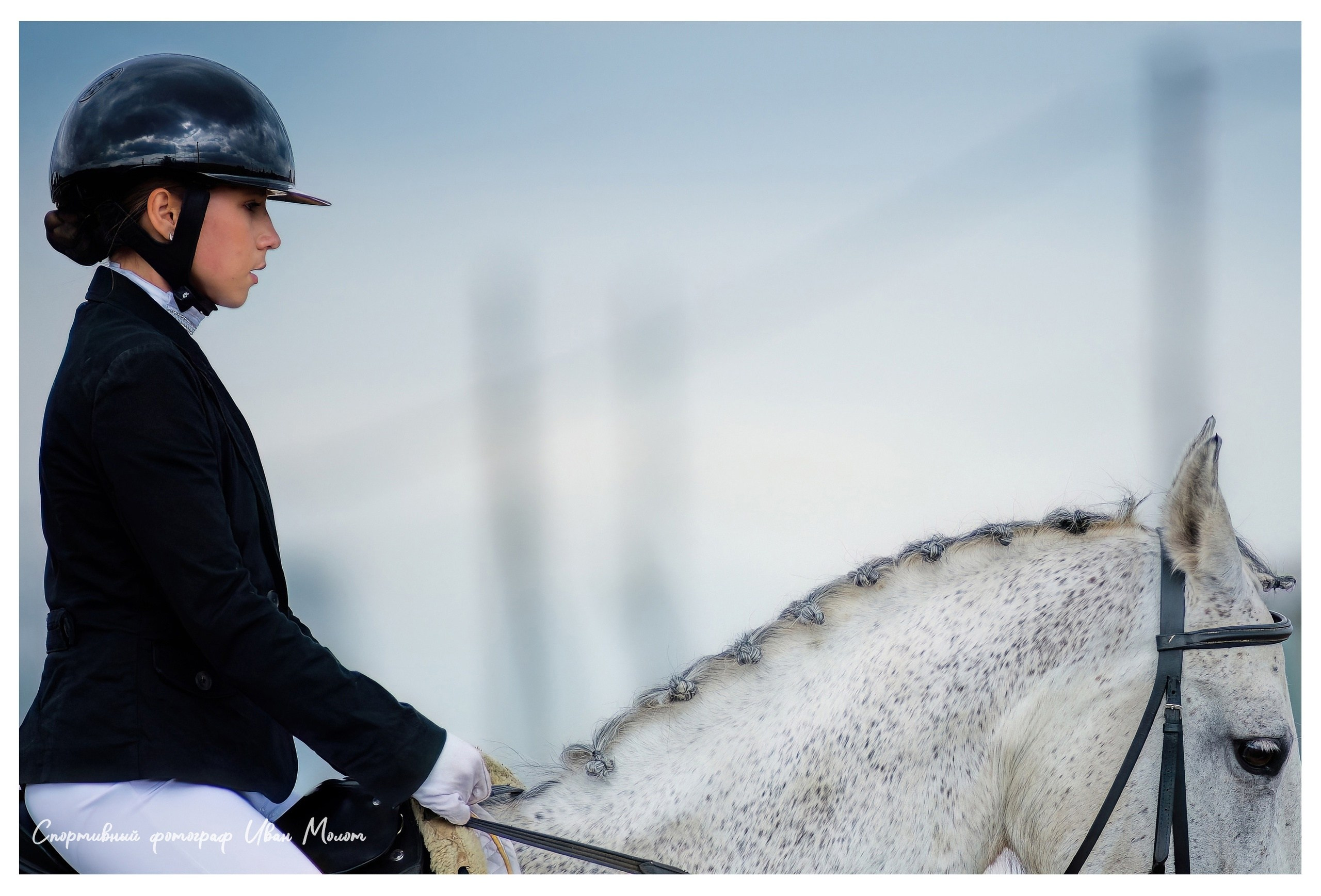 Конный спорт. Спортивный фотограф Иван Молот (Киров)