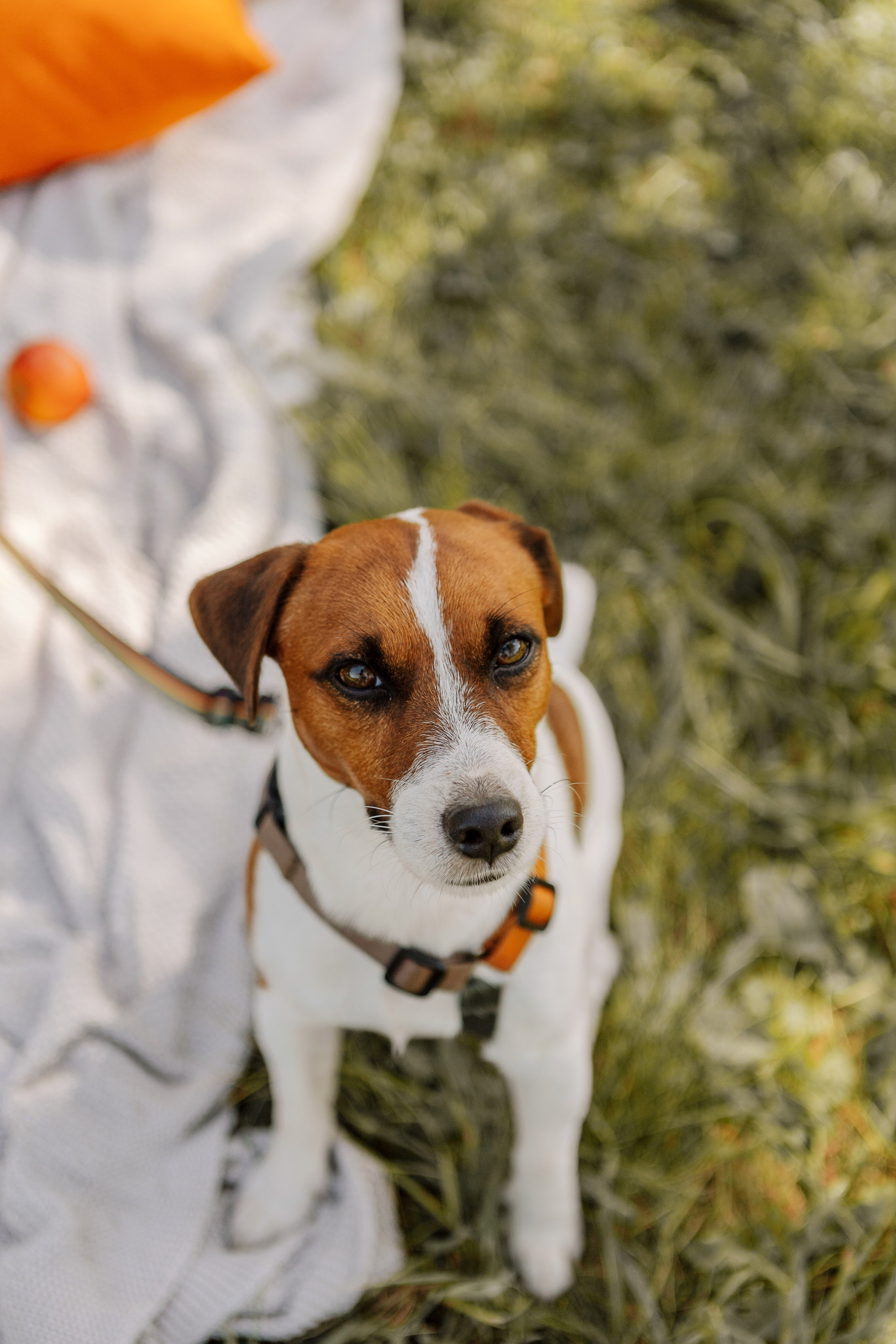 Лилия и малышка Лия. Женский, семейный и детский фотограф Москва Черешнева Злата