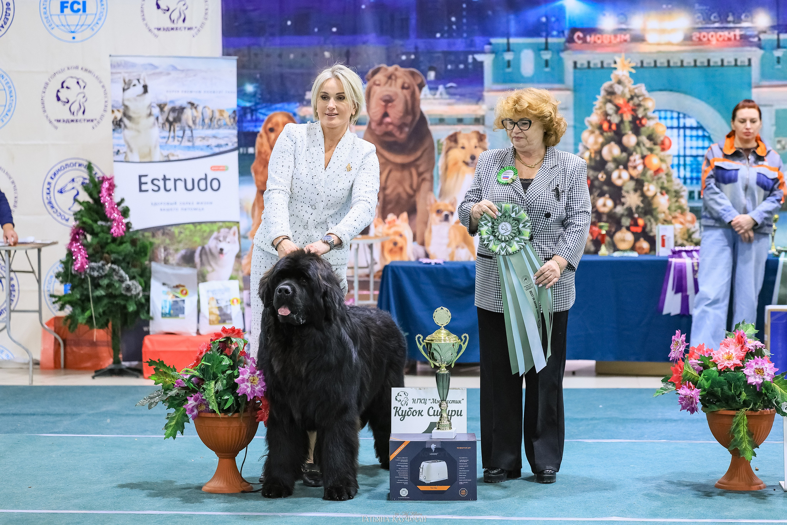 6-7.12.25 — 1-4 Национальные выставки собак в Новосибирске (2х рейтинговые). Фотограф Анималист из Новосибирска Татьяна Кауфман