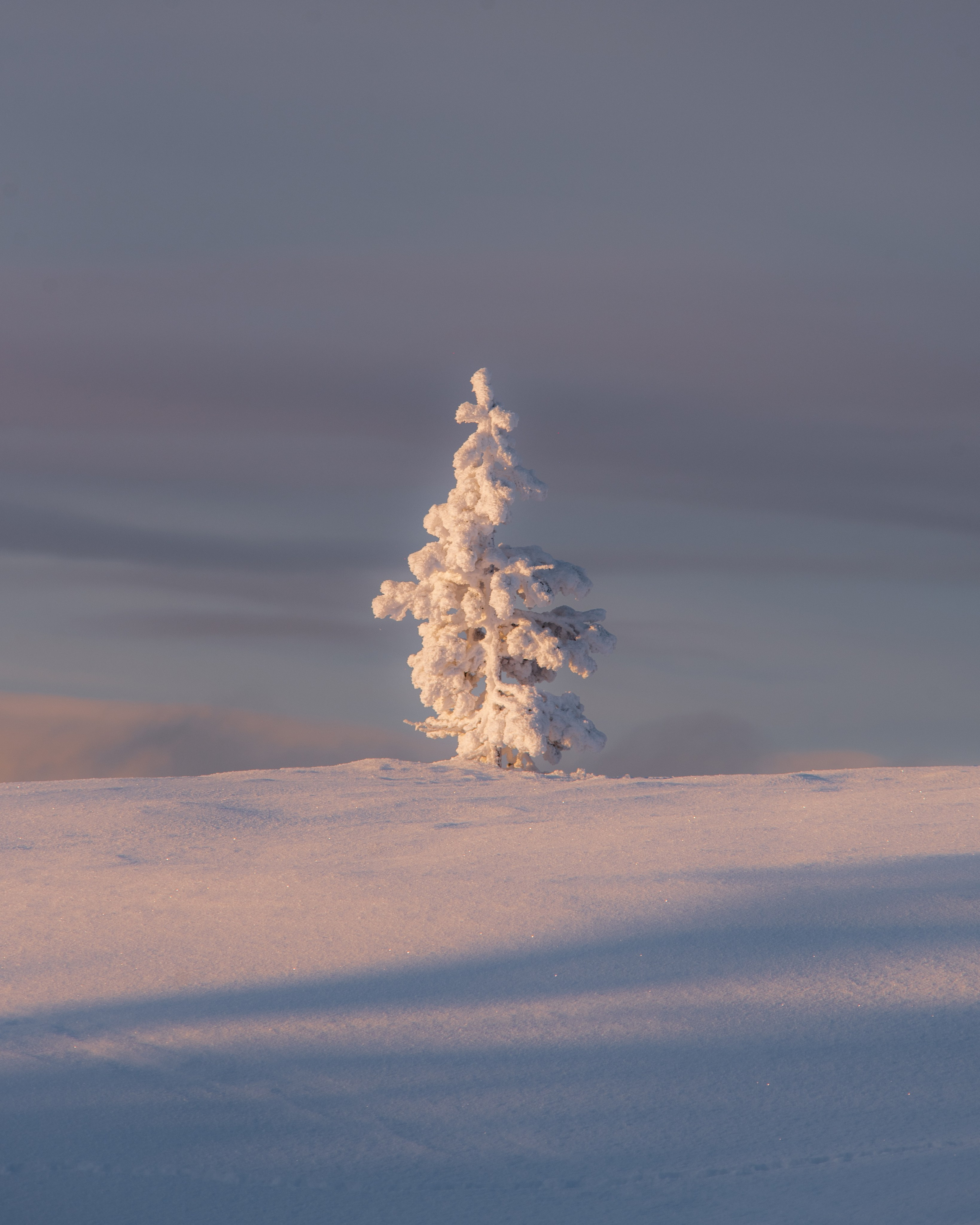 КАНДАЛАКША | БЕЛОЕ МОРЕ. Пейзажный и тревел-фотограф Алексей Соколенко