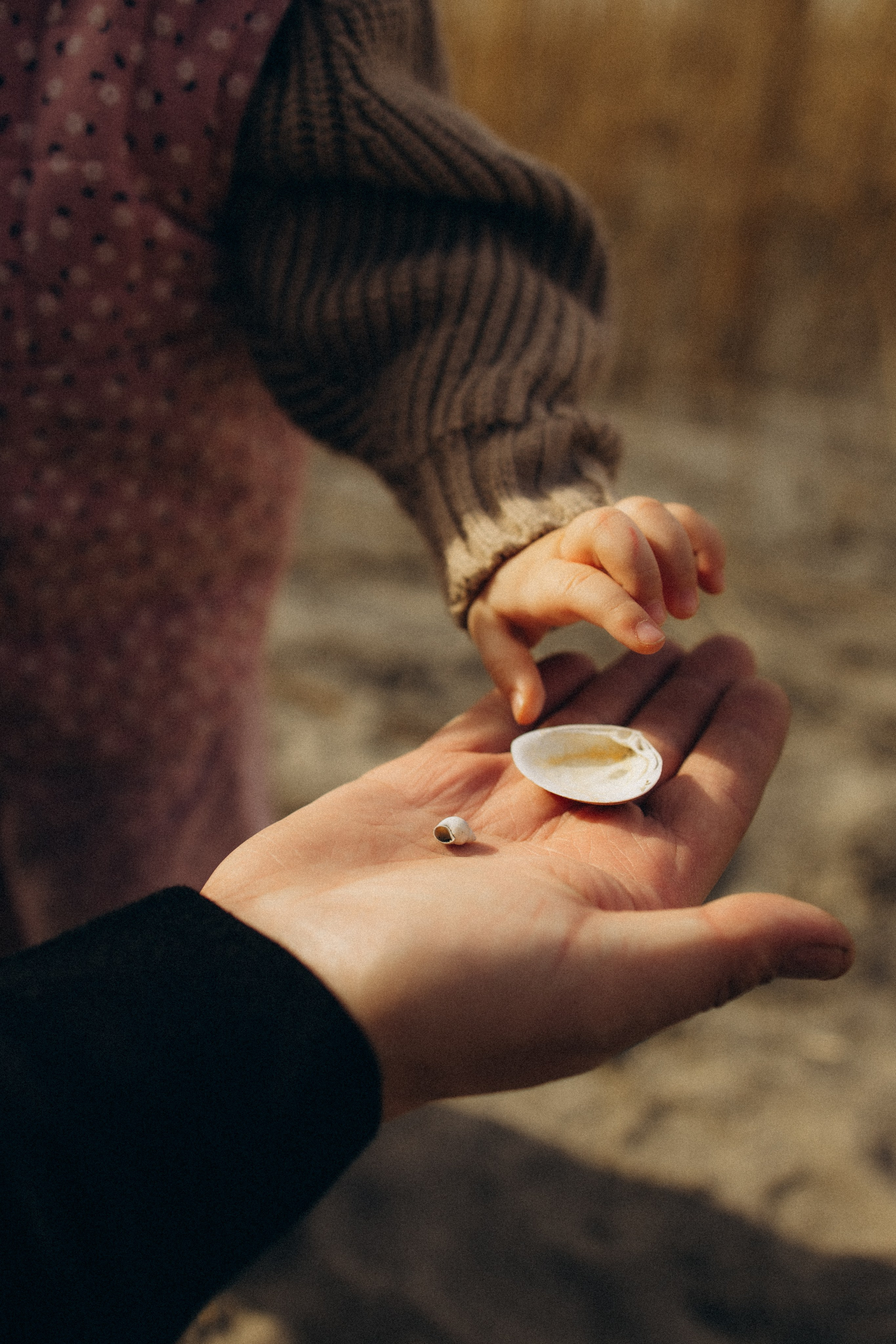 Семейные съемки. Семейный фотограф в Калининграде Юлия Нигаматулина