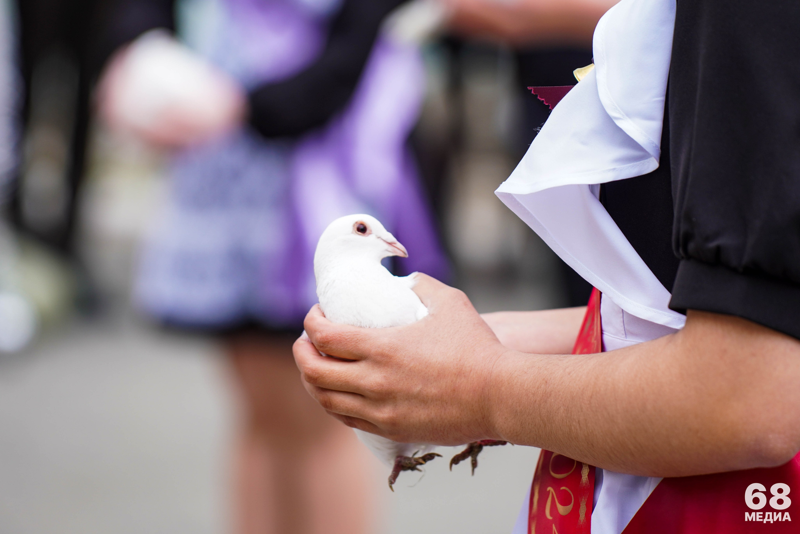 Последний звонок | 11-е классы. EGOROV PRODUCTION