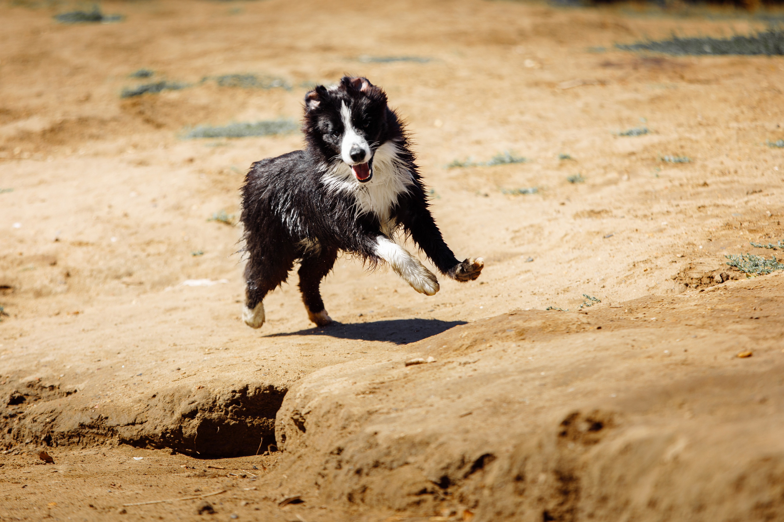 Водяные в Новотроицке. О нас