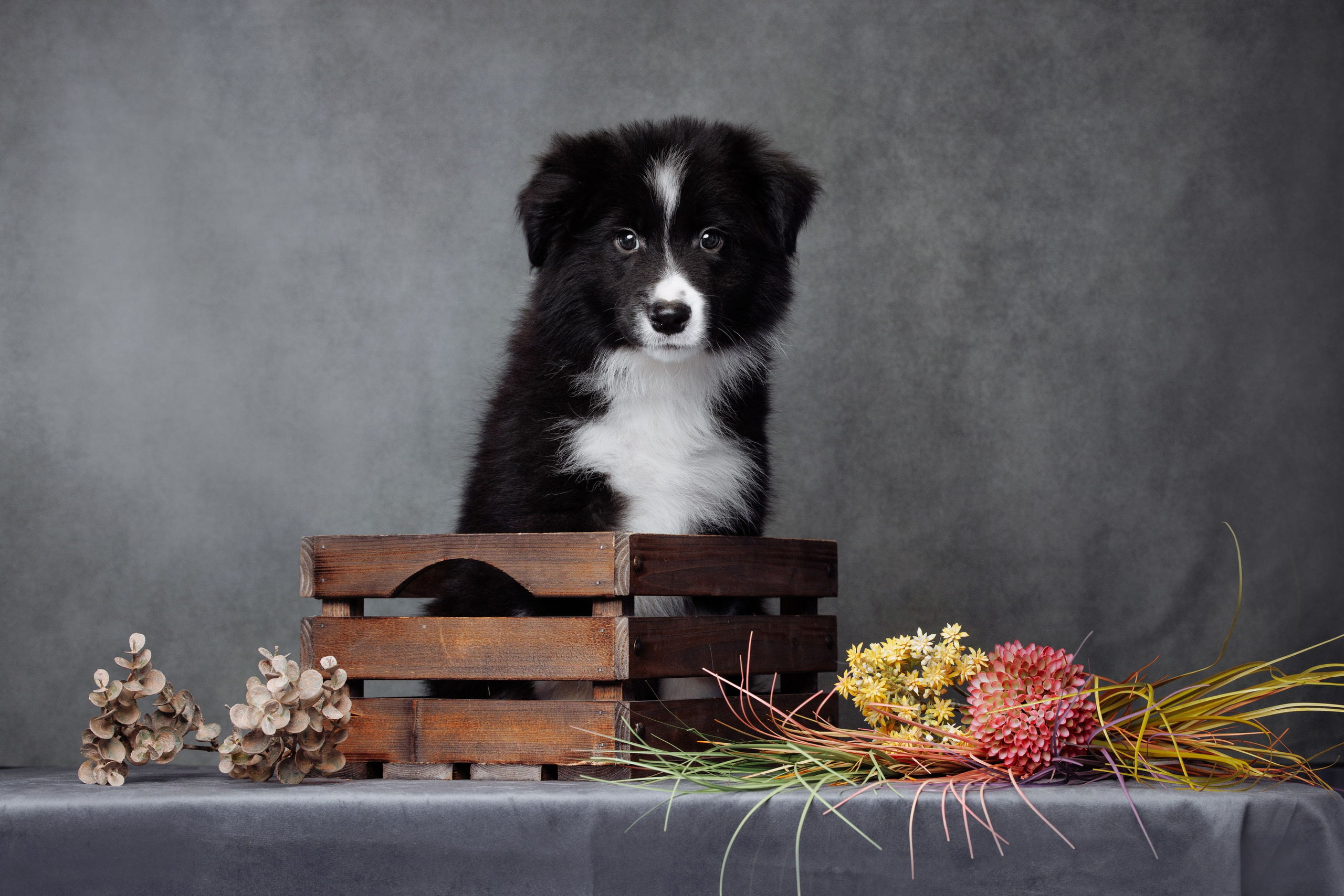 Помет а. О нас