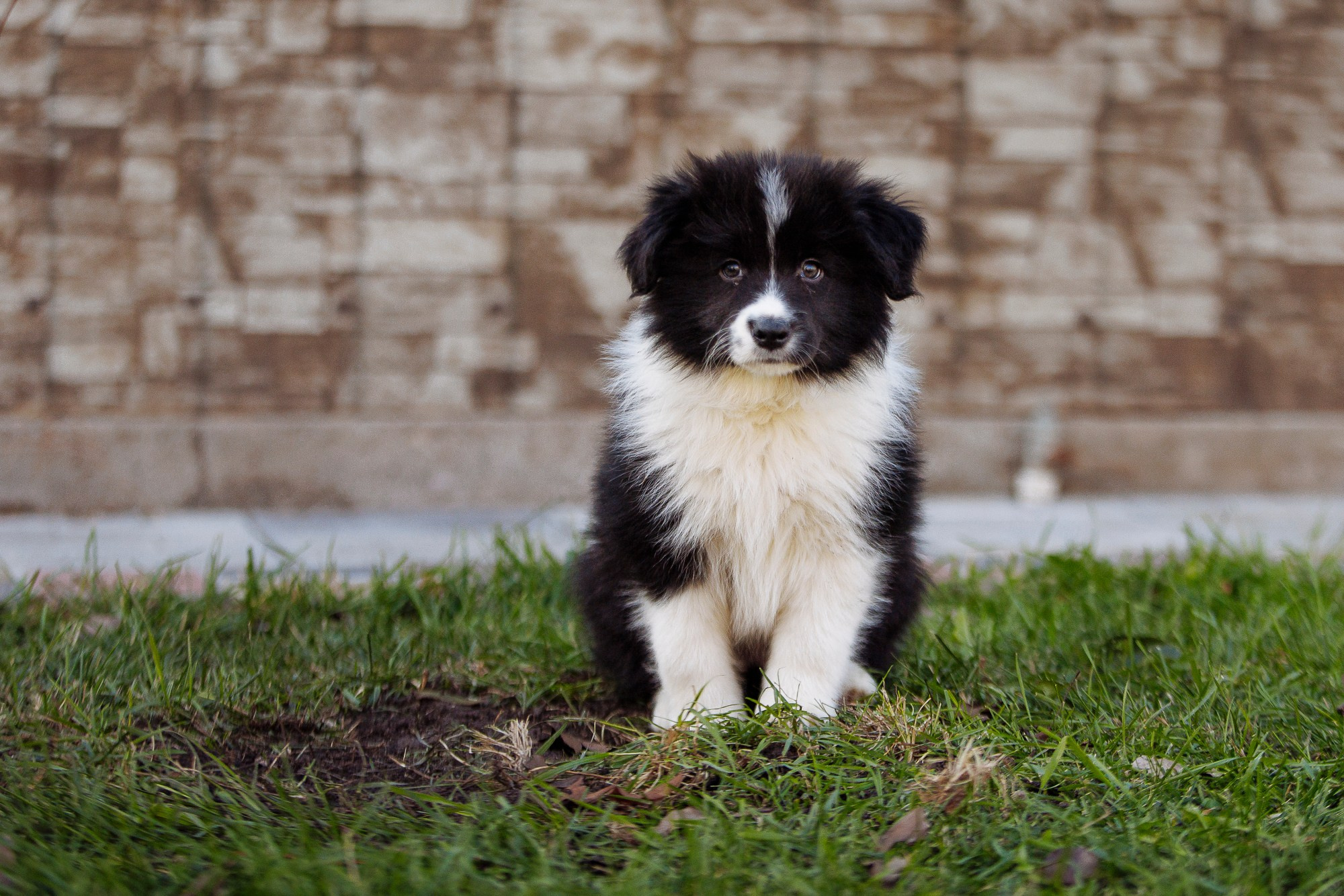 У дома с большой компанией от мала до велика. О нас