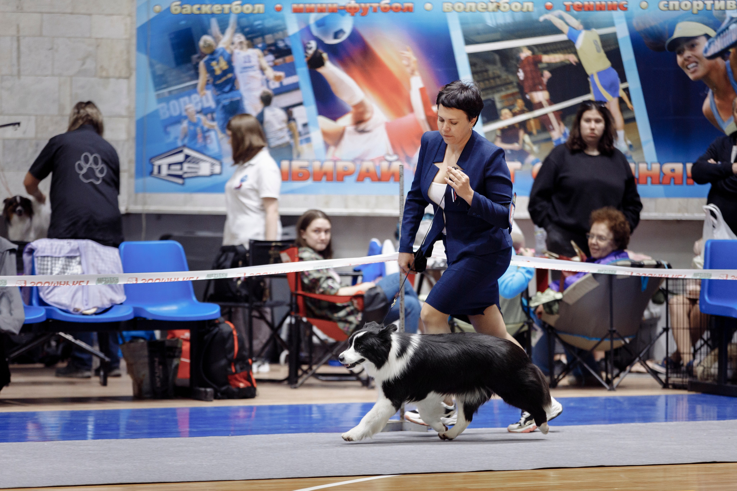 Магнитка 22. О нас